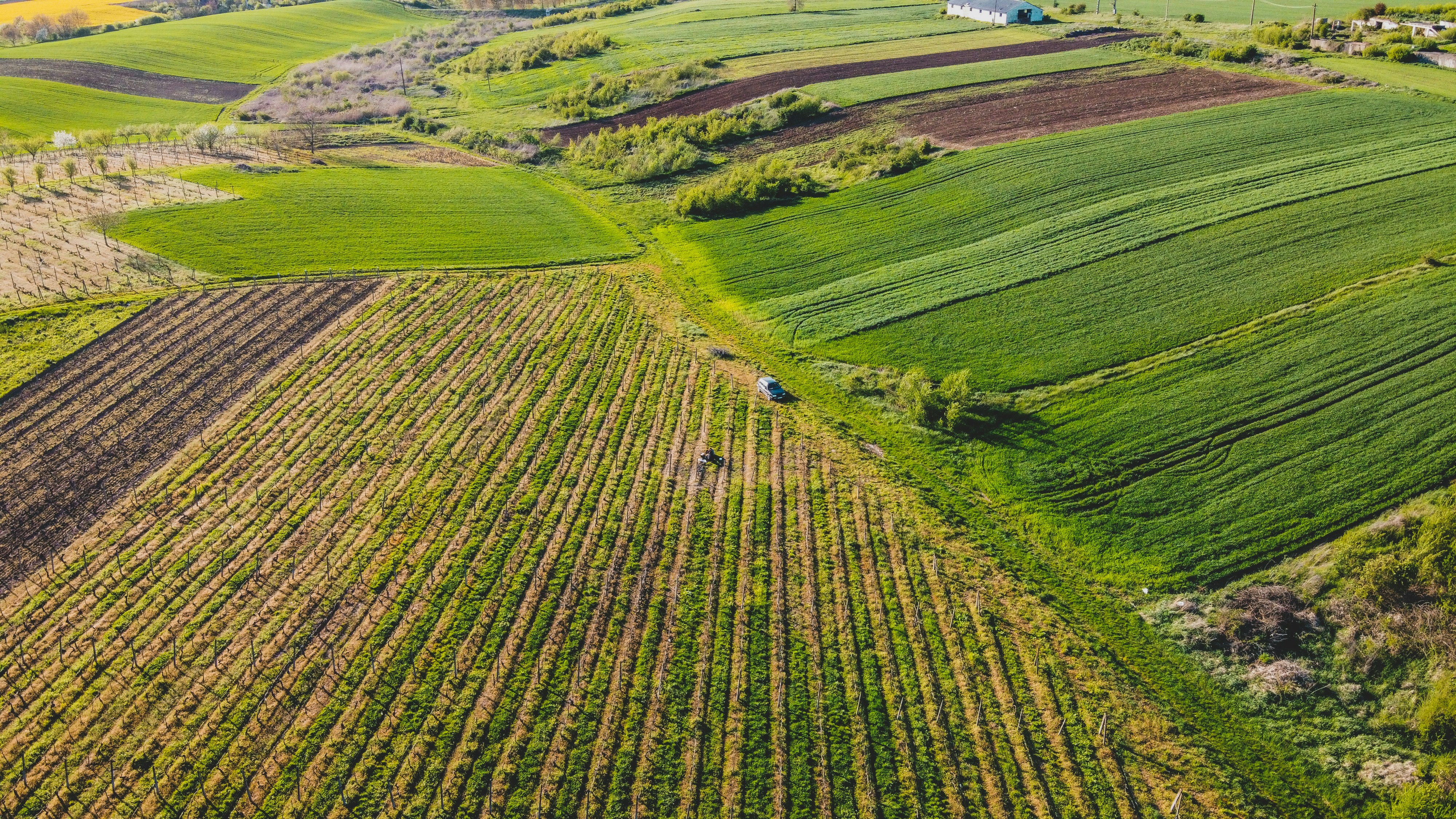 Photo by czapp_arpad