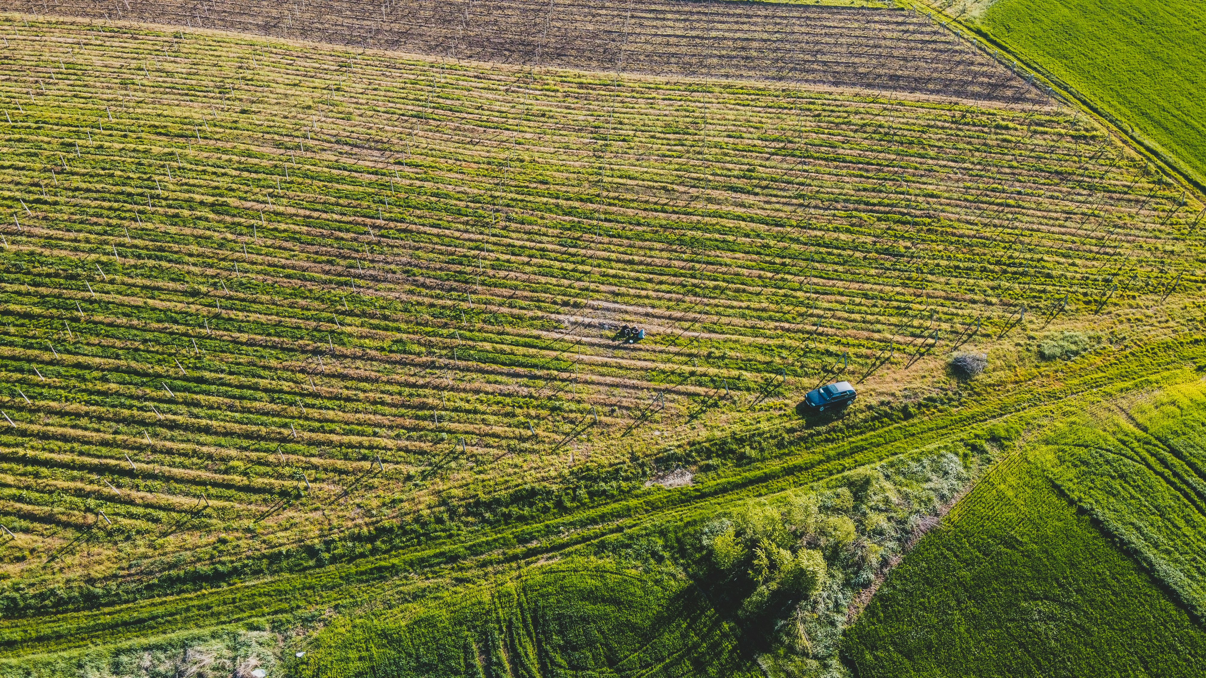 Photo by czapp_arpad