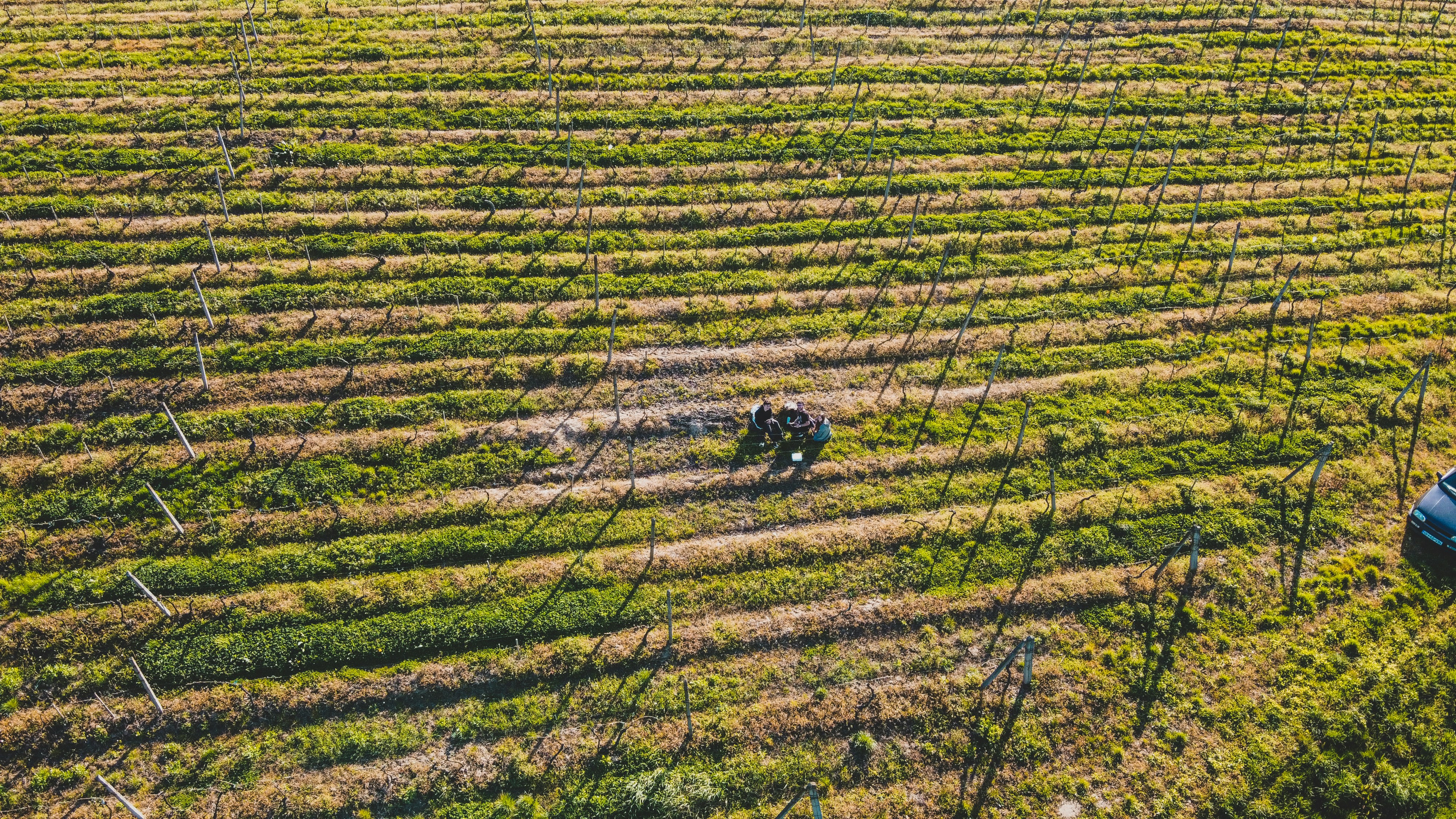 Photo by czapp_arpad