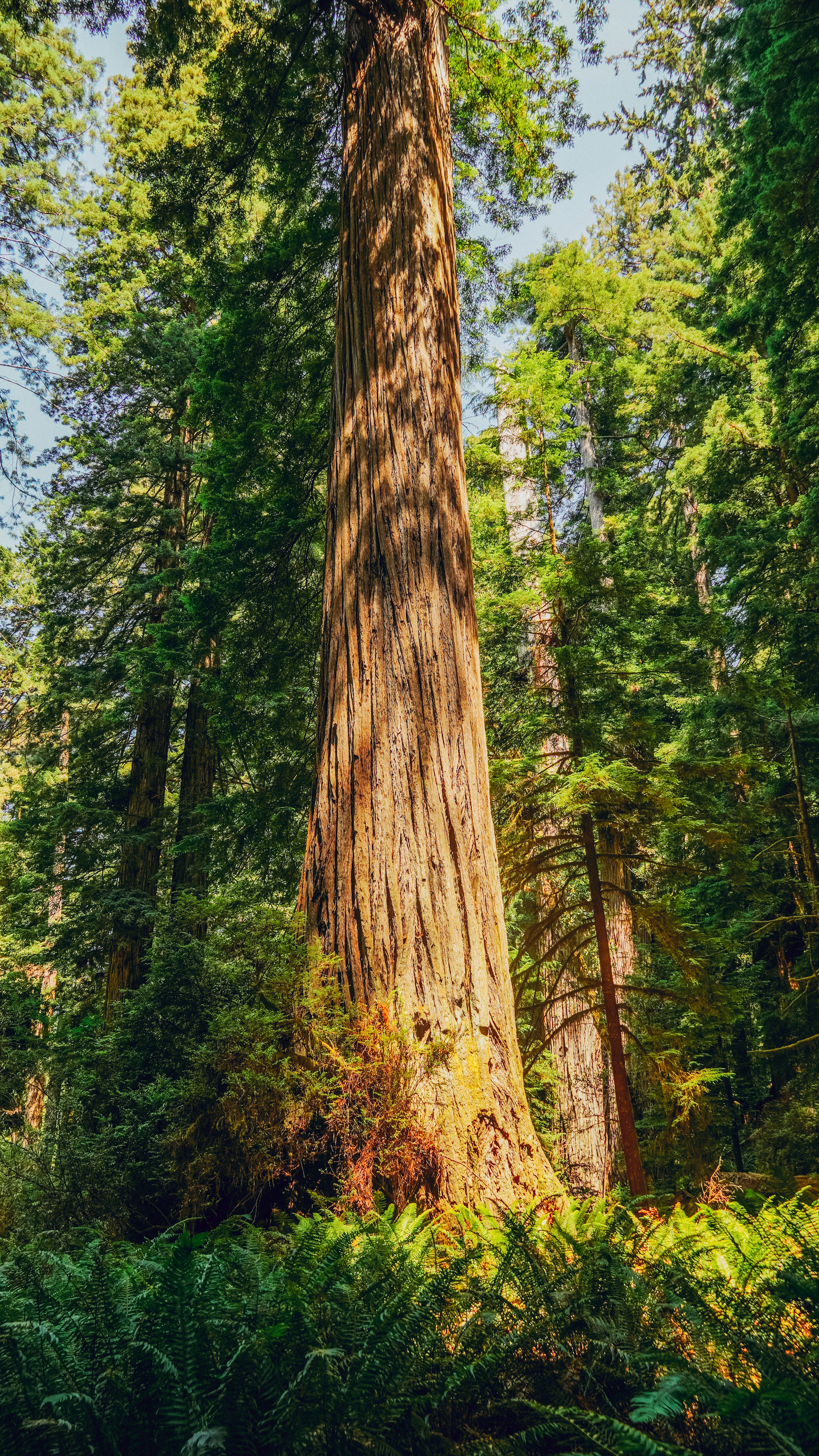 Photo by adrianvalverdem