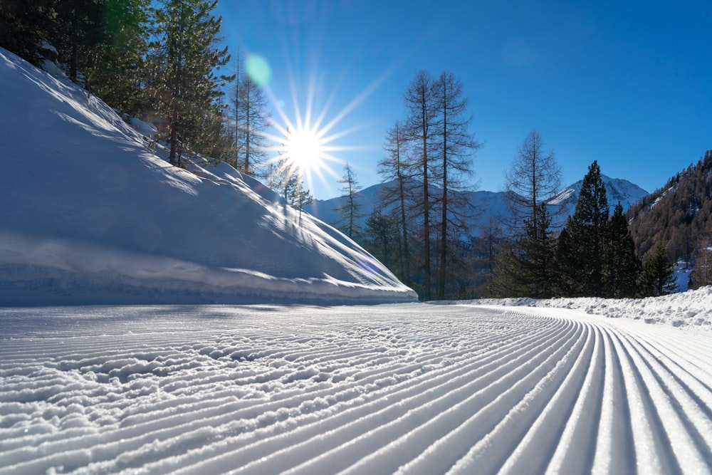 uma encosta coberta de neve