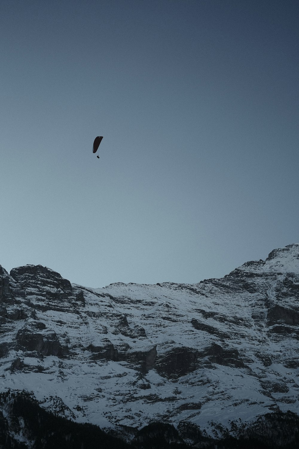 a bird flying over a mountain covered in snow