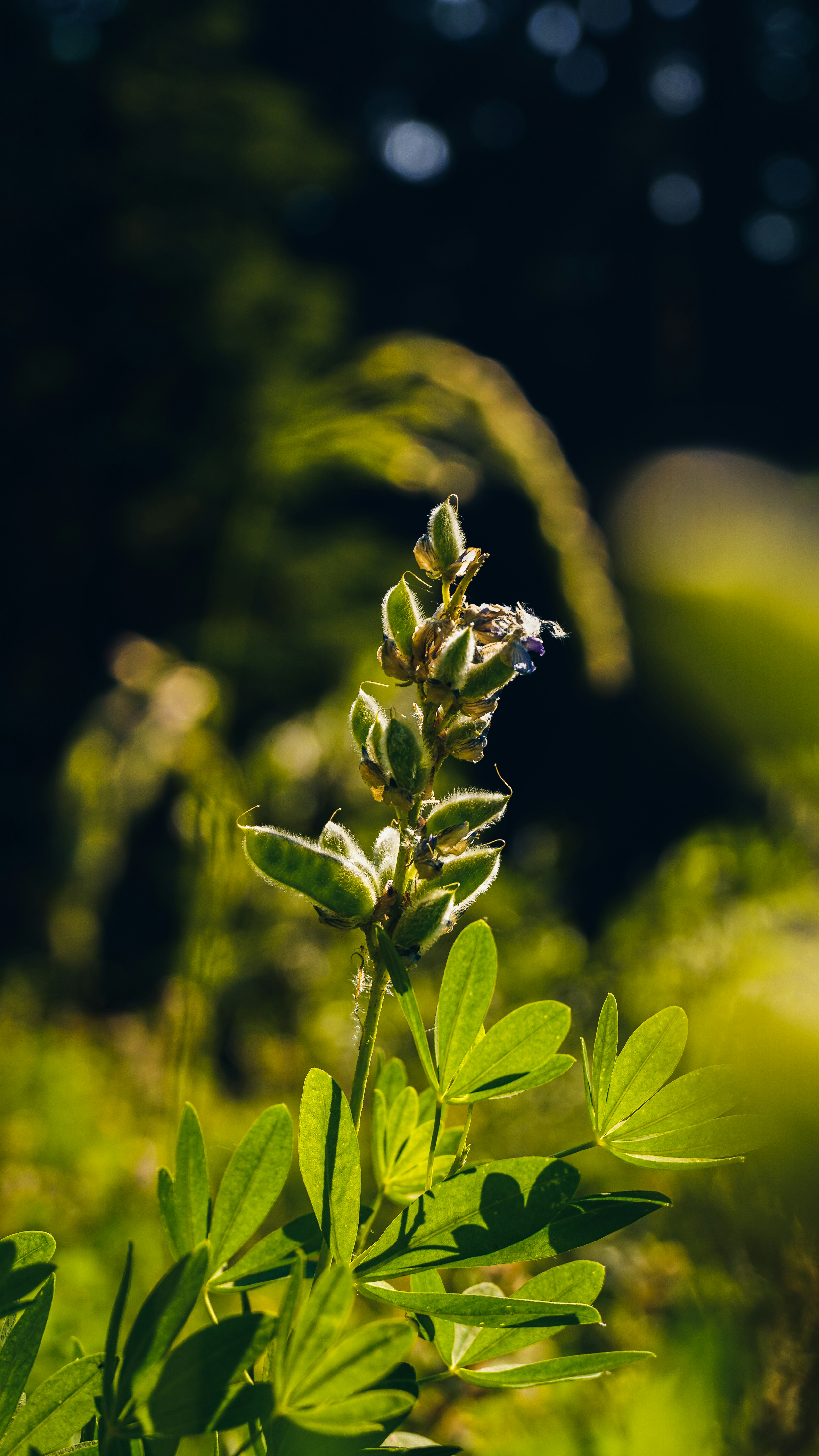 Photo by adrianvalverdem