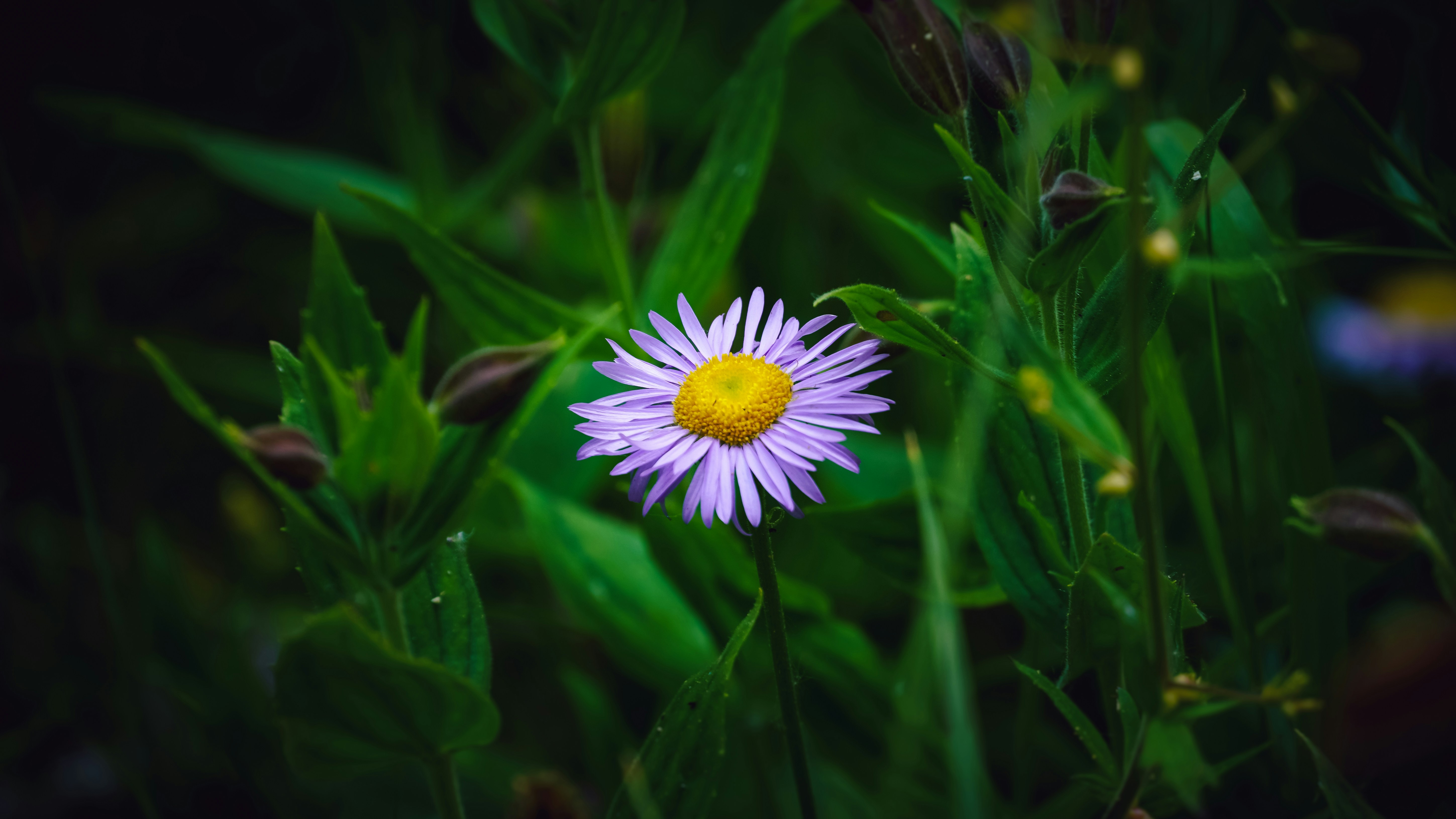 Photo by adrianvalverdem