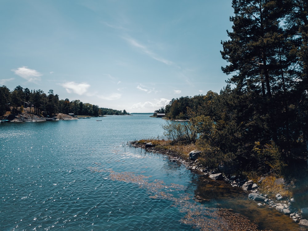 a large body of water surrounded by trees