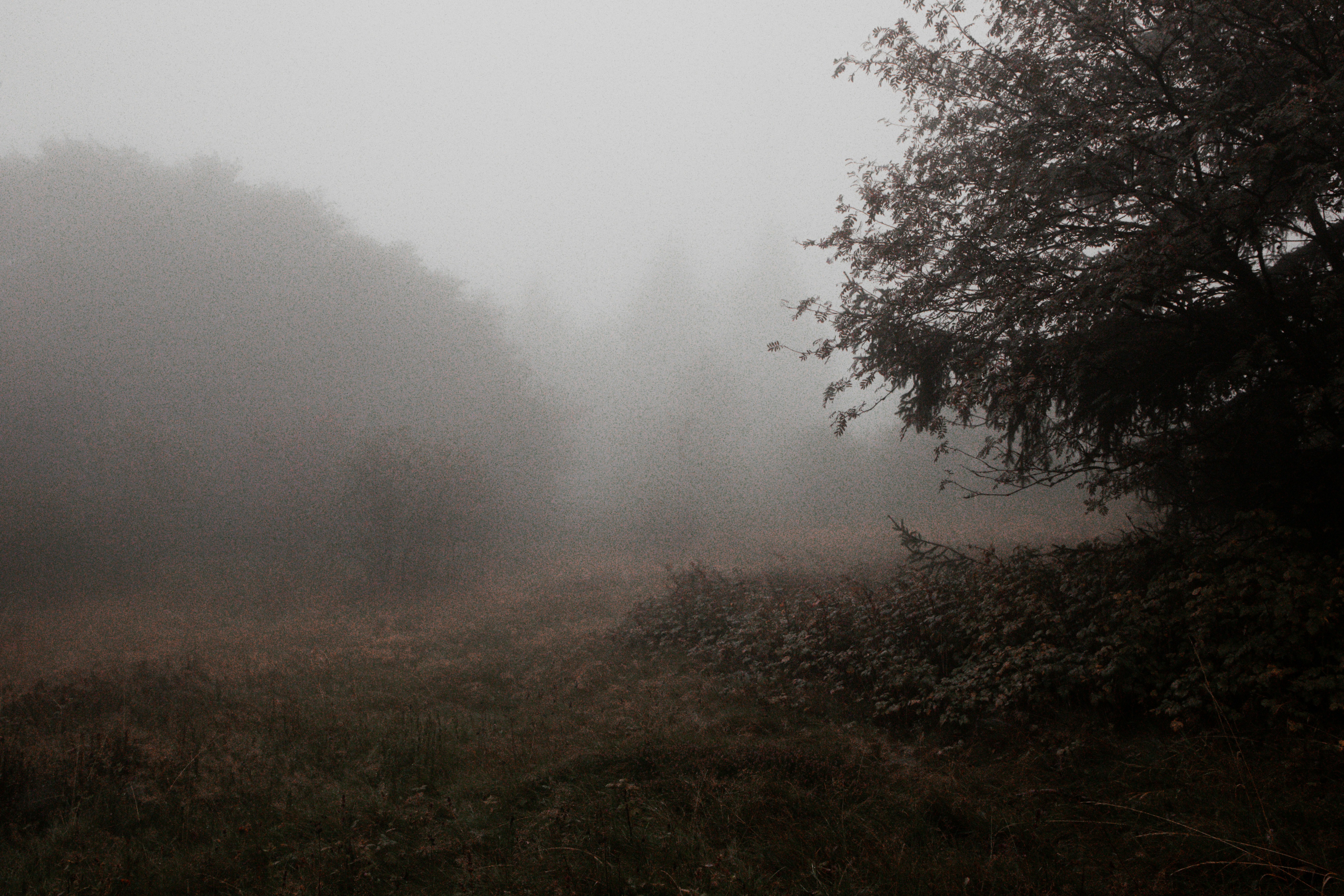 Photo by lavievagabonde