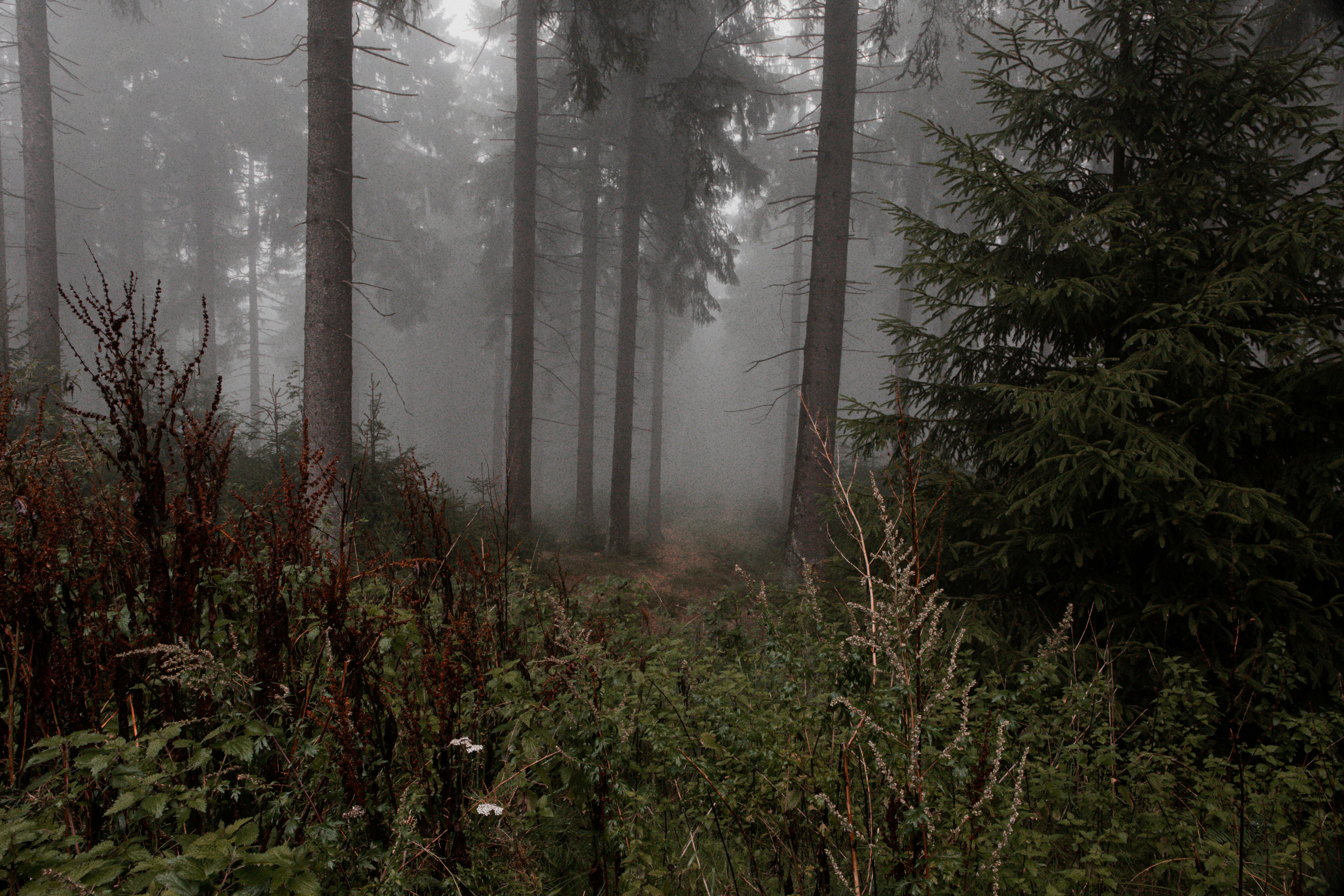 Photo by lavievagabonde