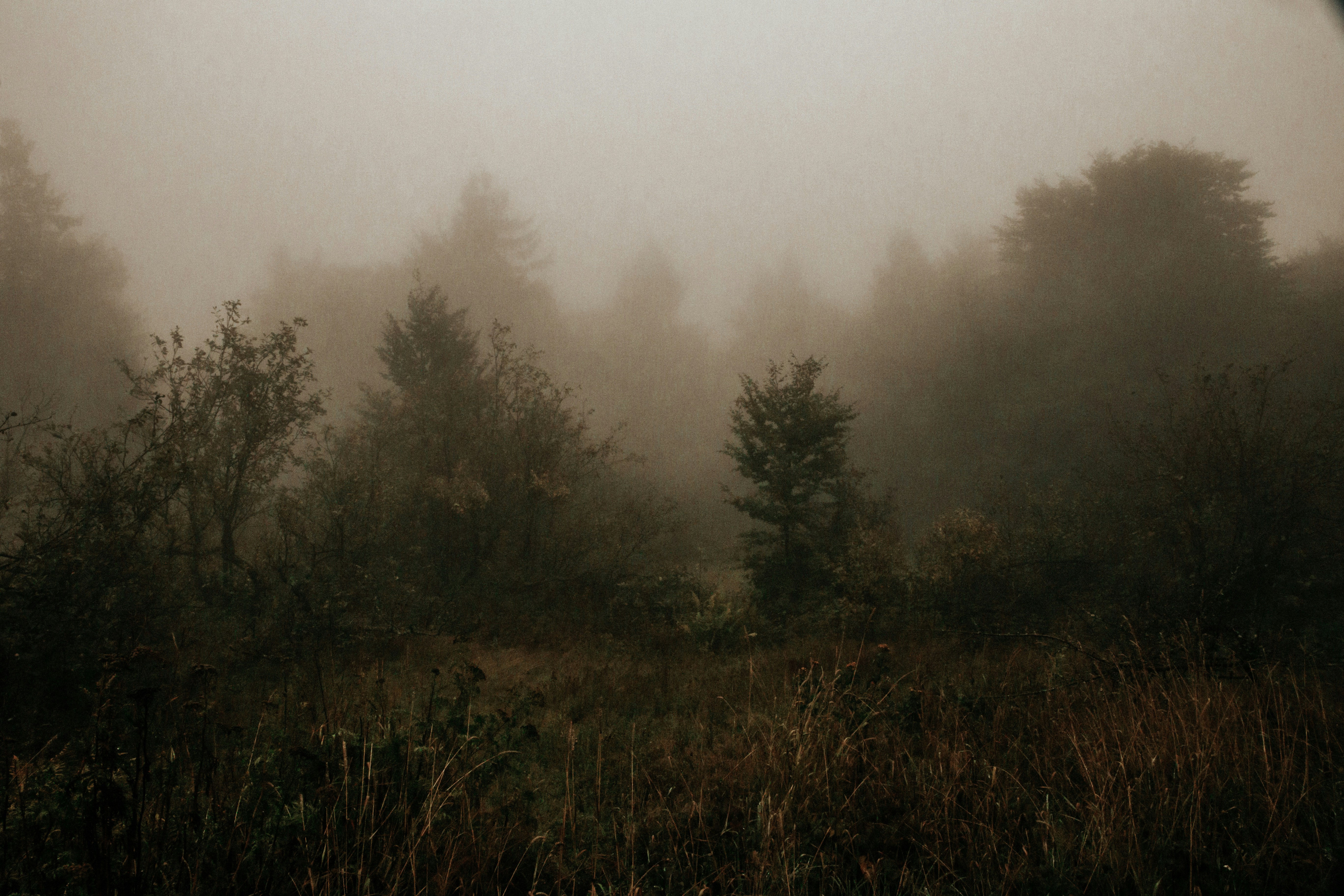 Photo by lavievagabonde