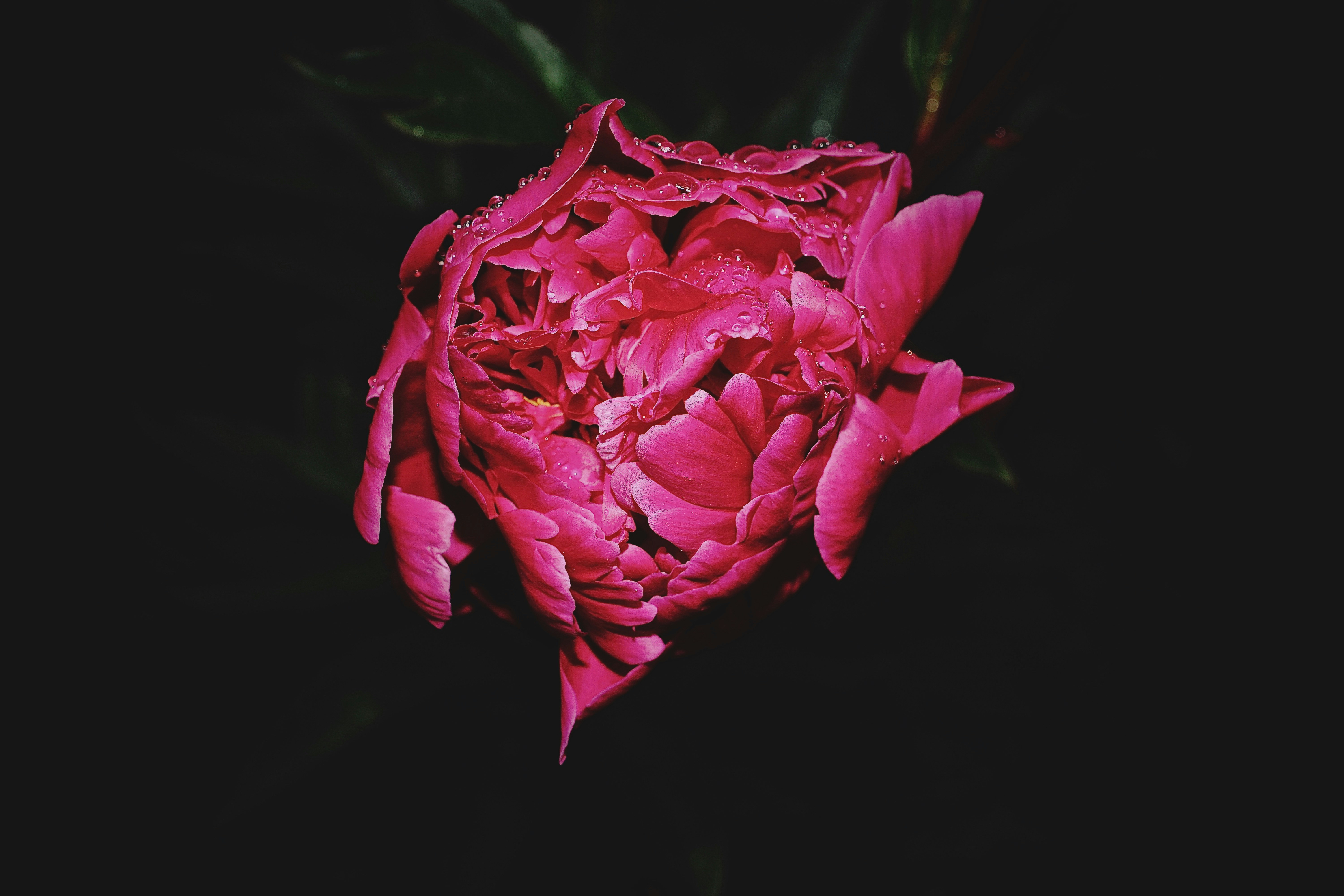 Photo by llovisabjorklund