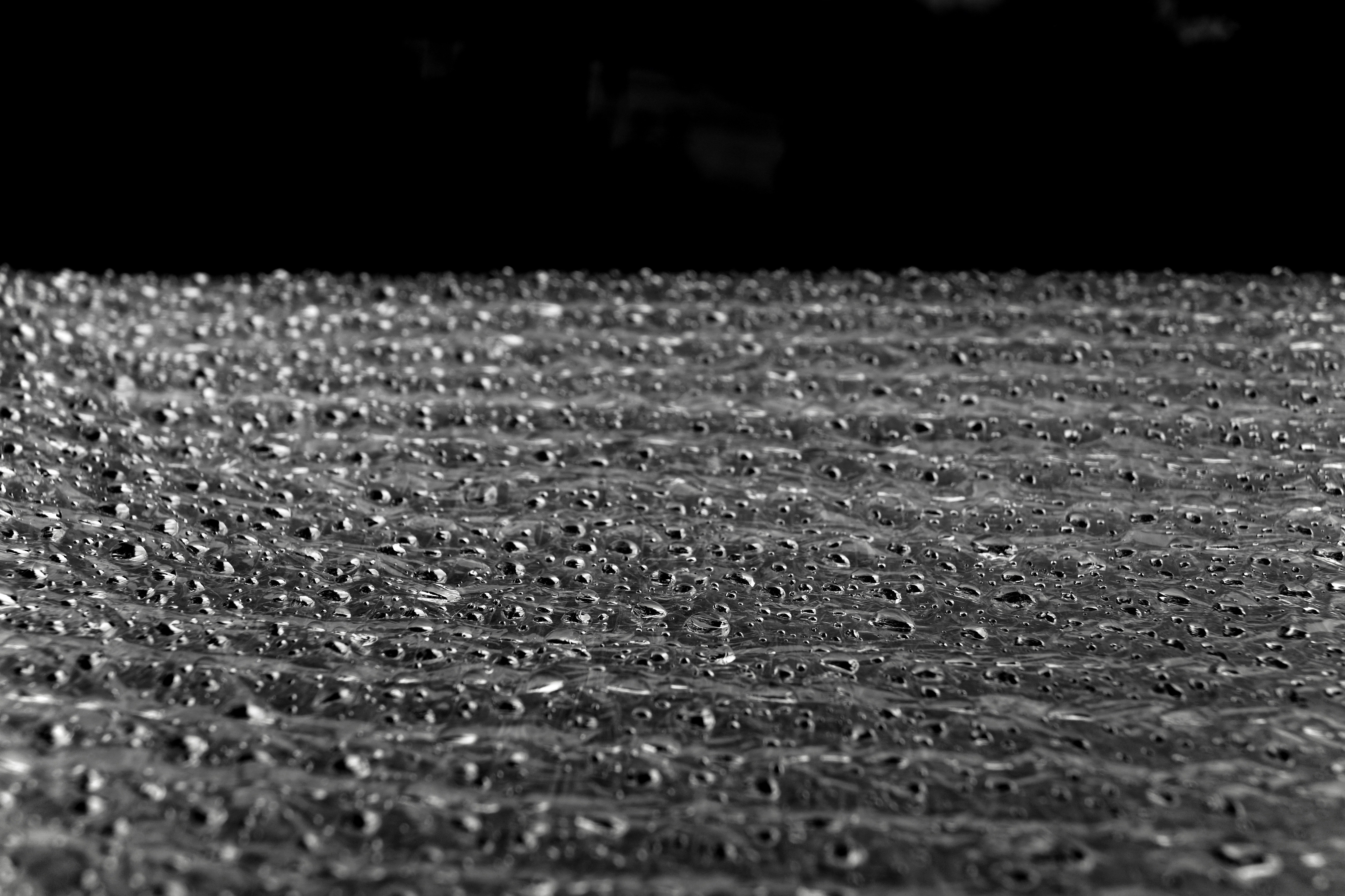 Photo by llovisabjorklund