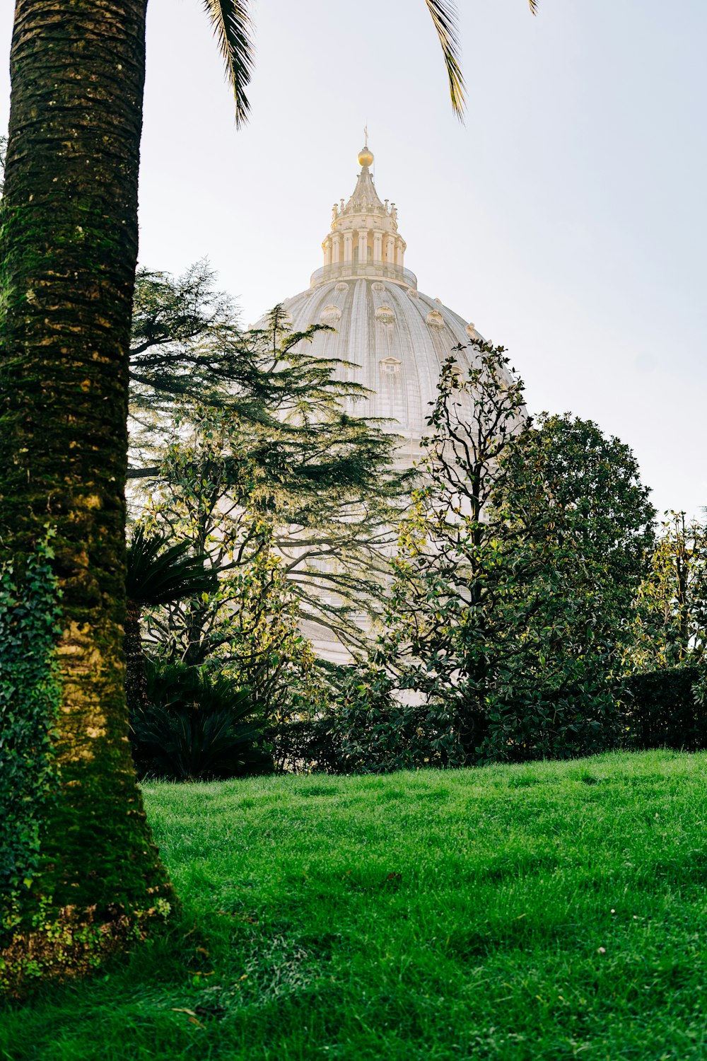 a tall white building sitting behind a lush green forest