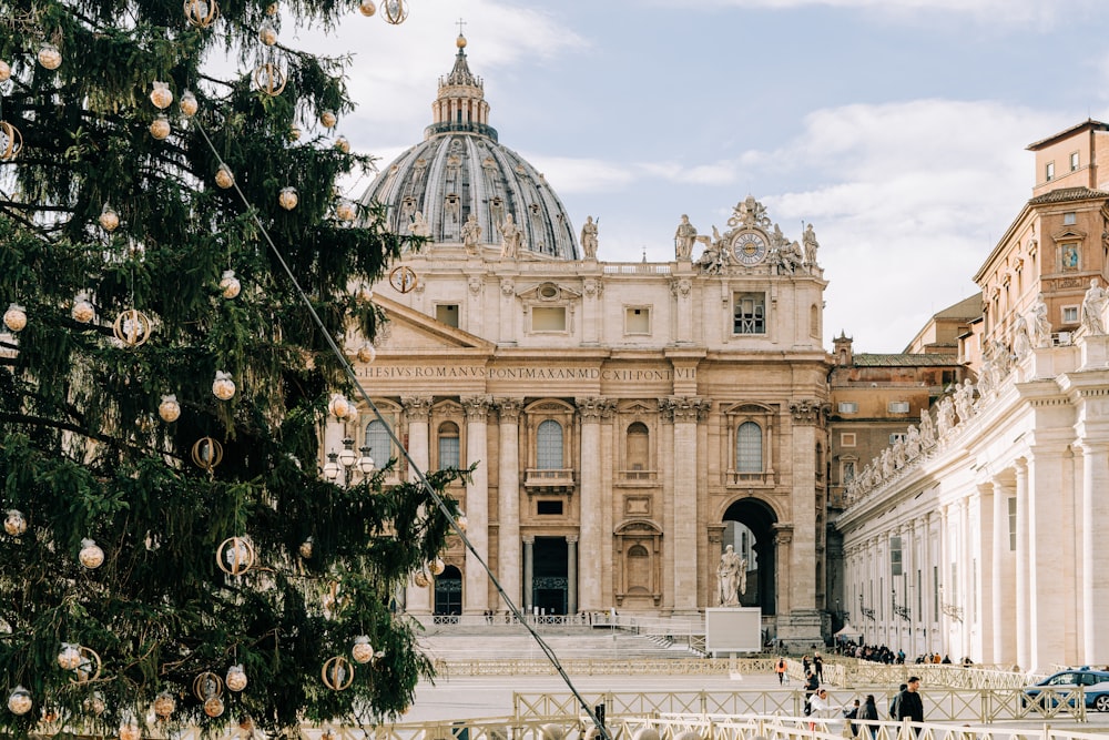 a christmas tree in front of a large building