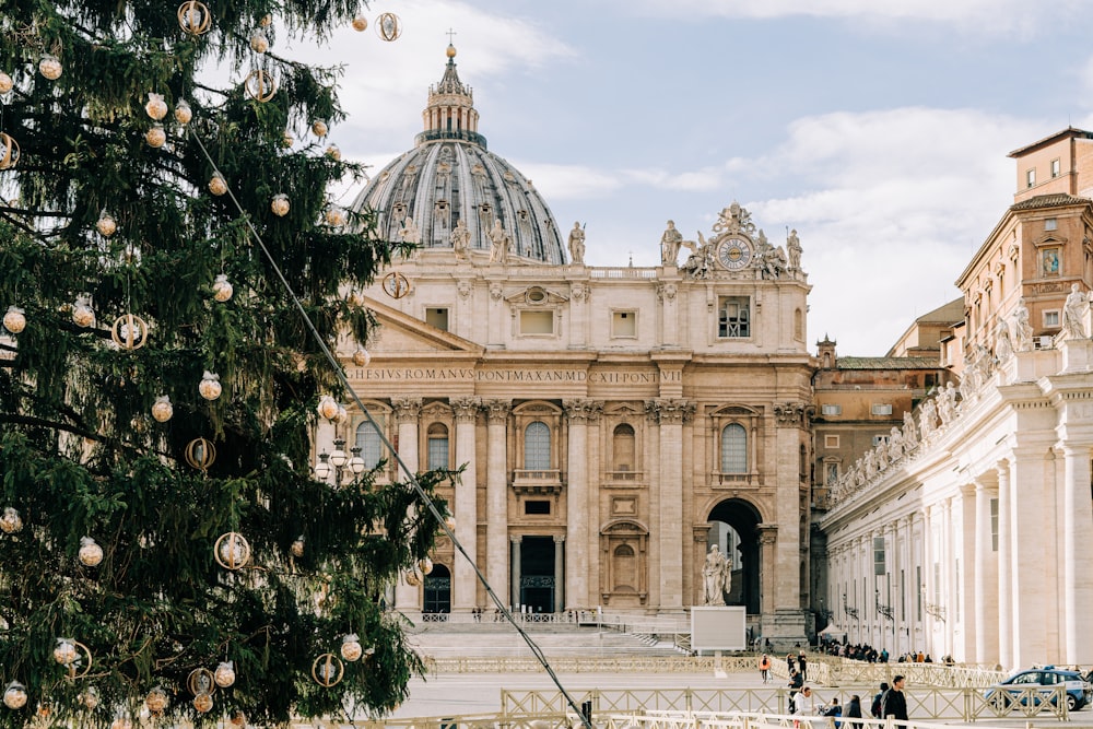 a christmas tree in front of a large building