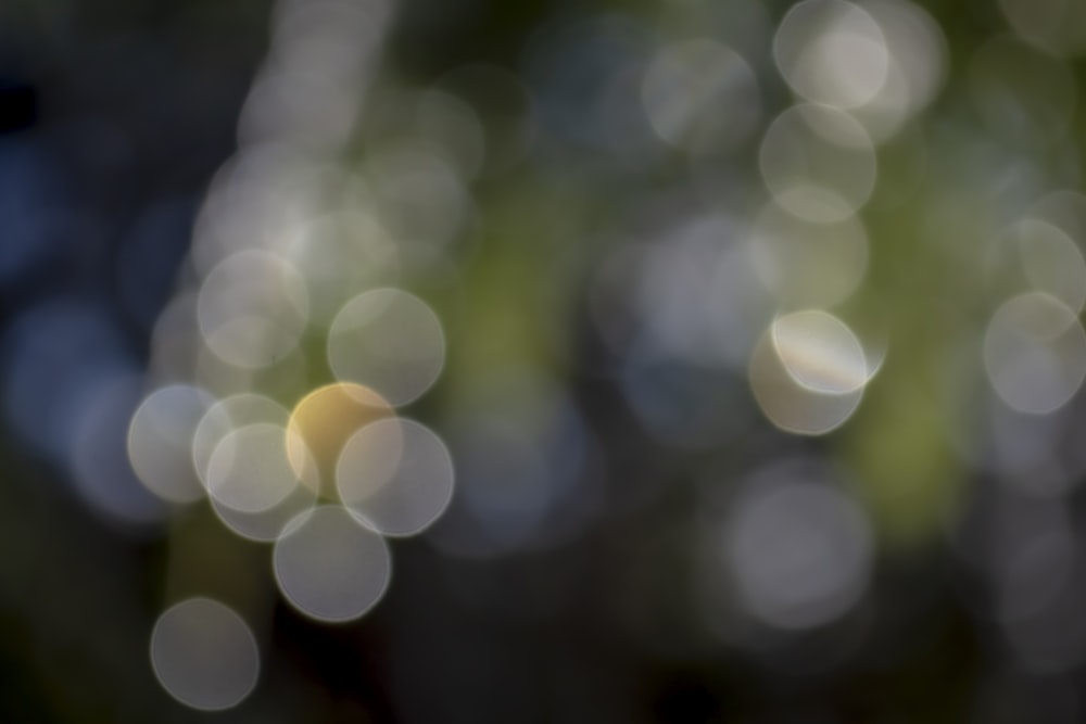 a blurry photo of a tree with lots of leaves