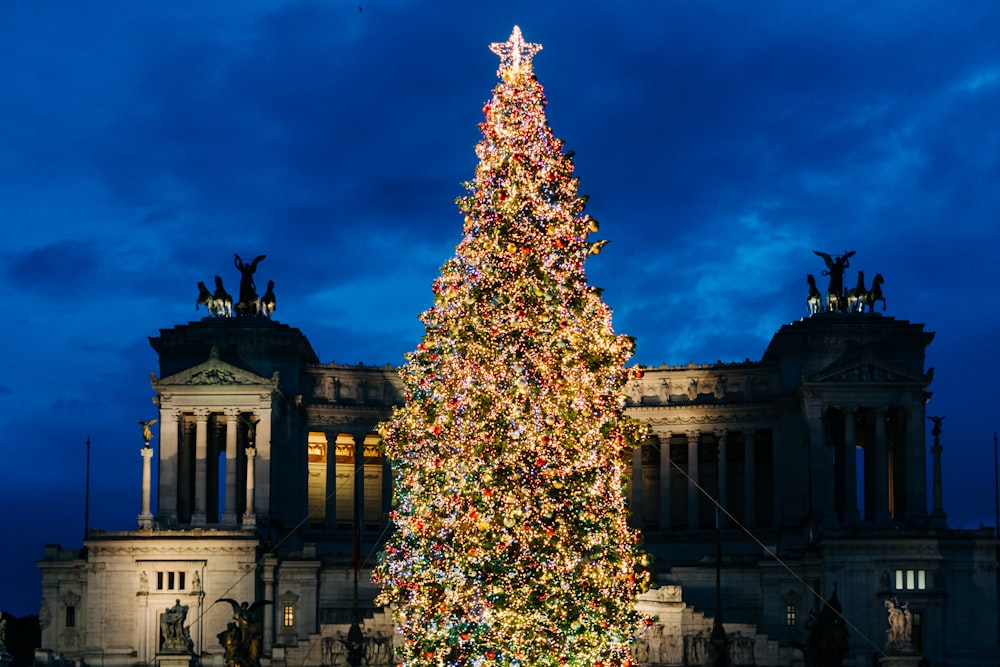 a large christmas tree in front of a building