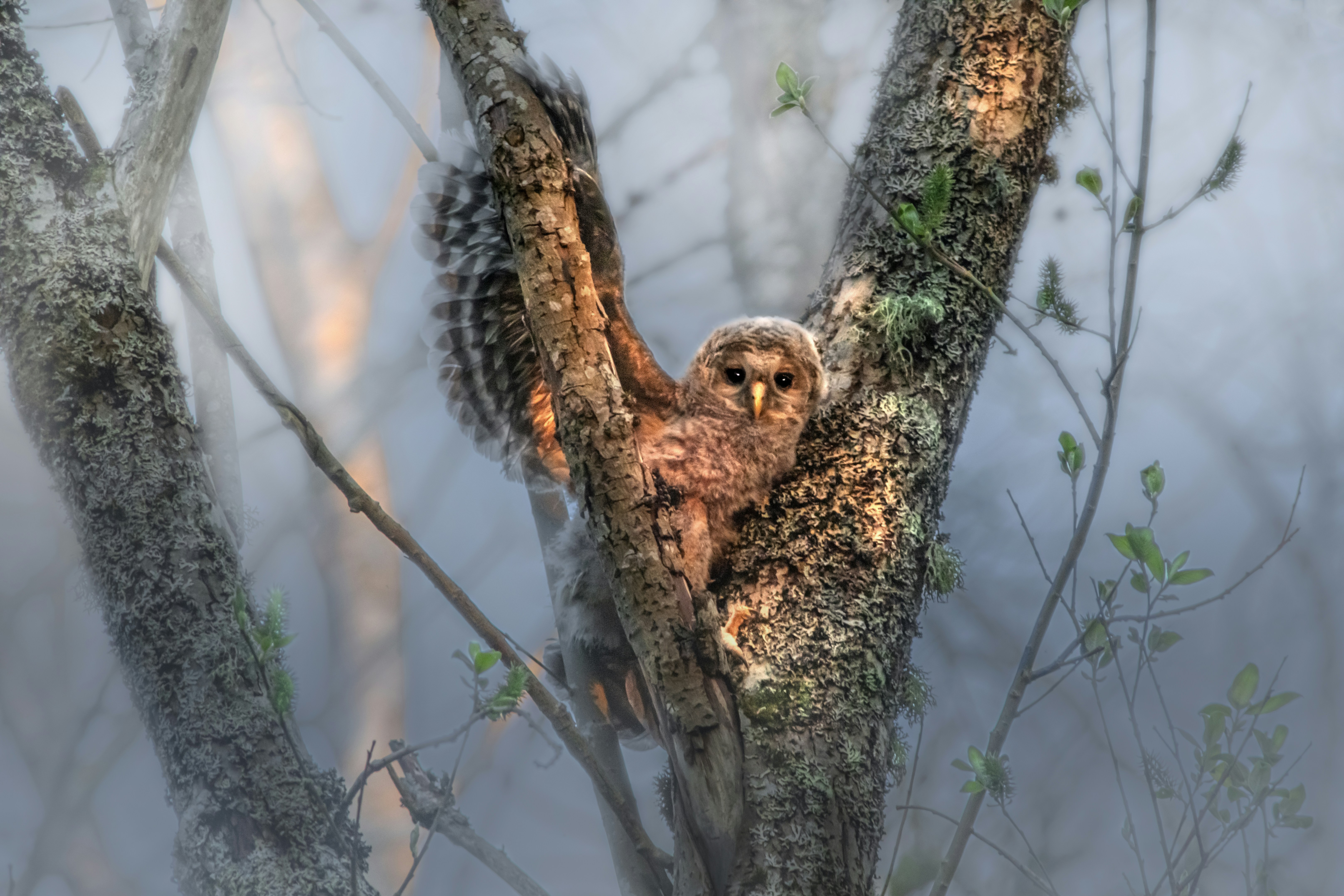 Photo by erik_karits