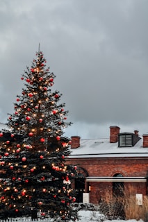A large Christmas tree adorned with red ornaments and white lights stands in front of a brick building with a snowy ground. The sky is overcast and gray, contributing to a wintry atmosphere.