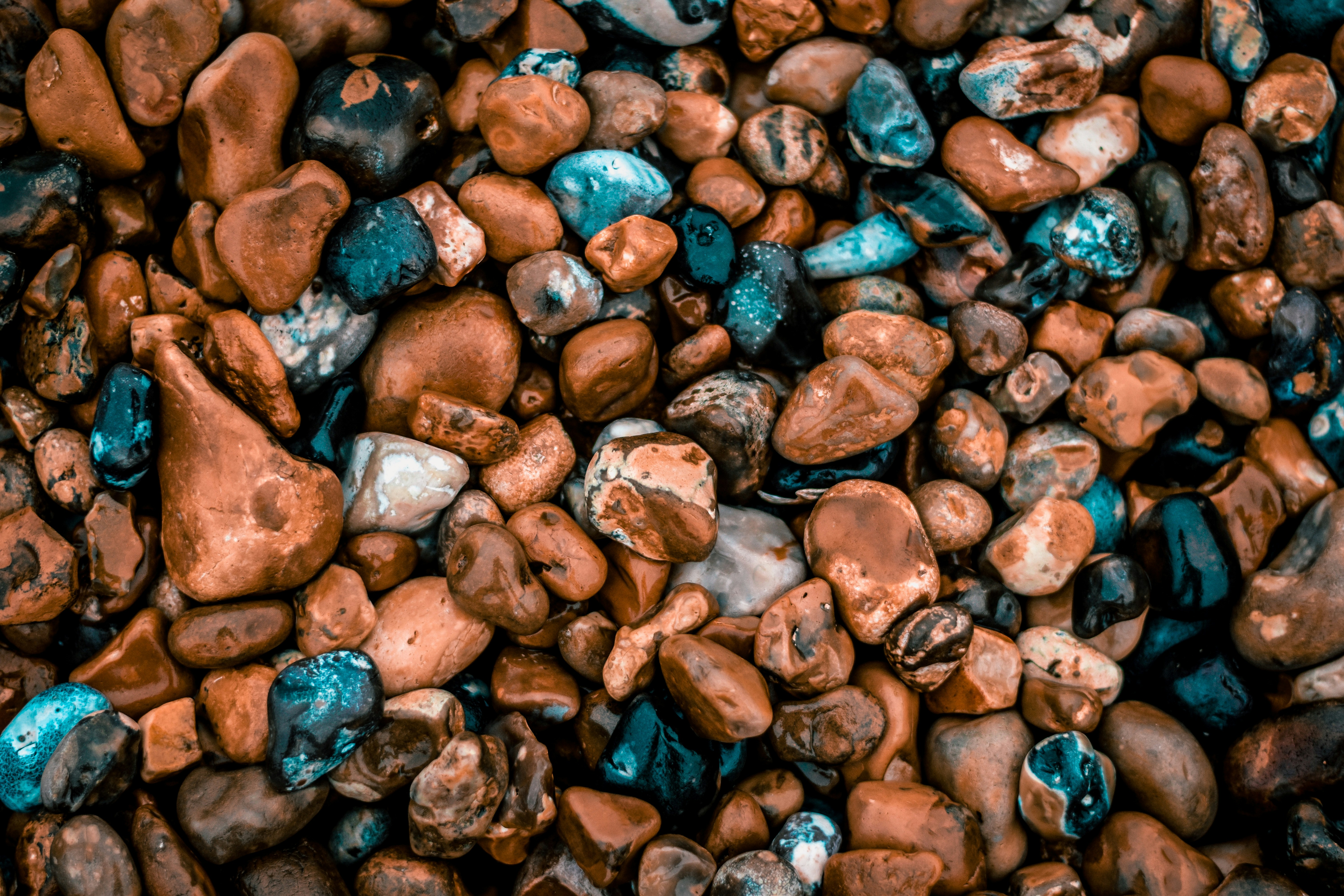 How to Clean Gravel in Aquariums Complete Guide