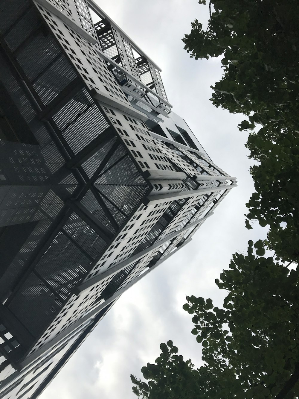 looking up at the top of a tall building