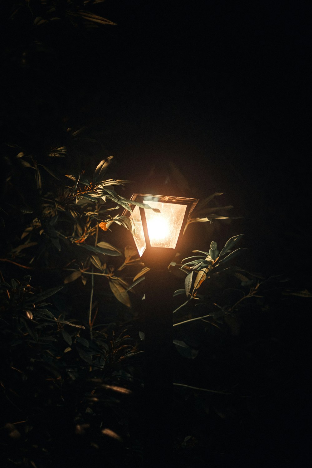 a street light is lit up in the dark