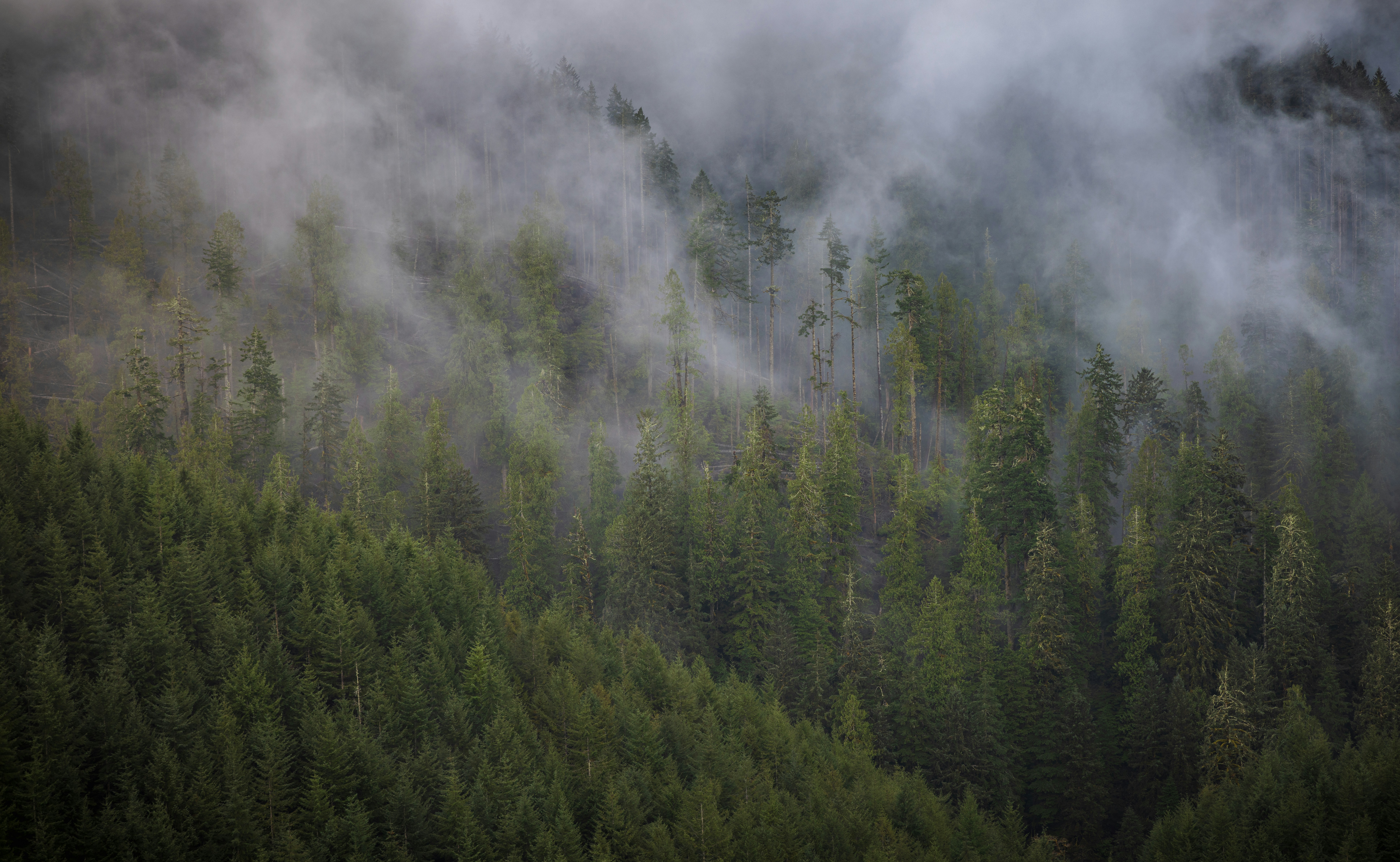 Photo by wanderingcrow