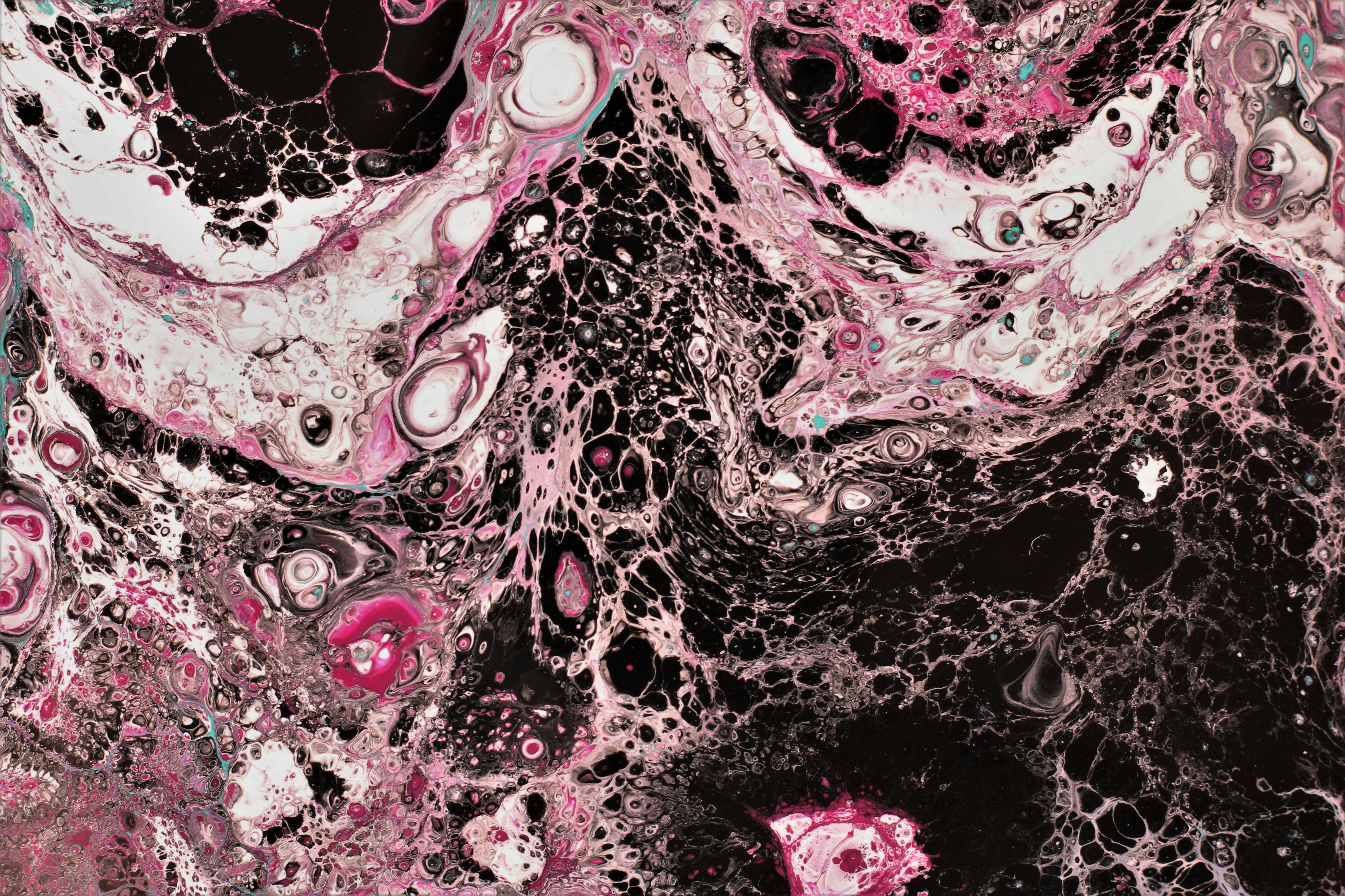 Photo by susan_wilkinson