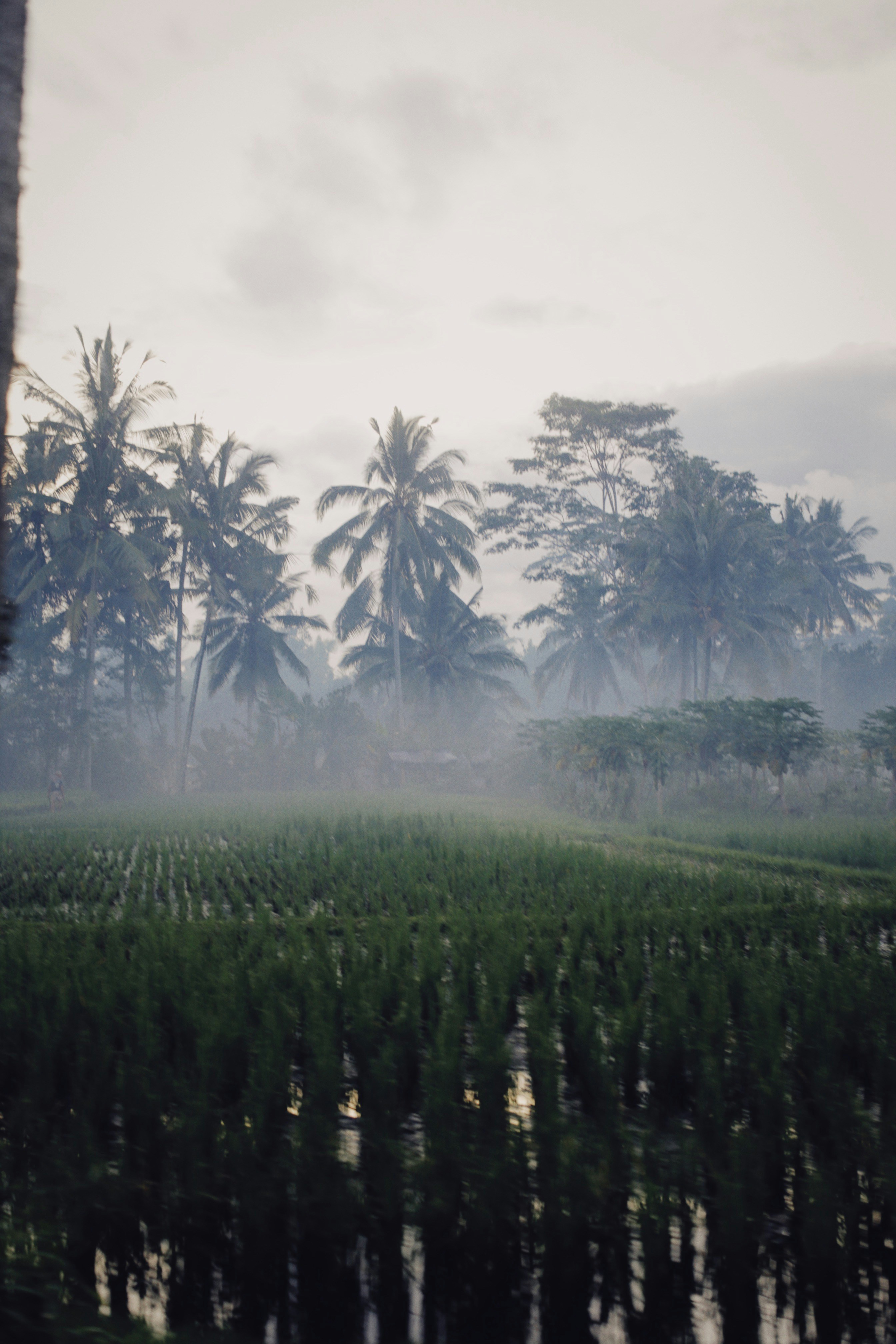 Photo by alexeydemidov