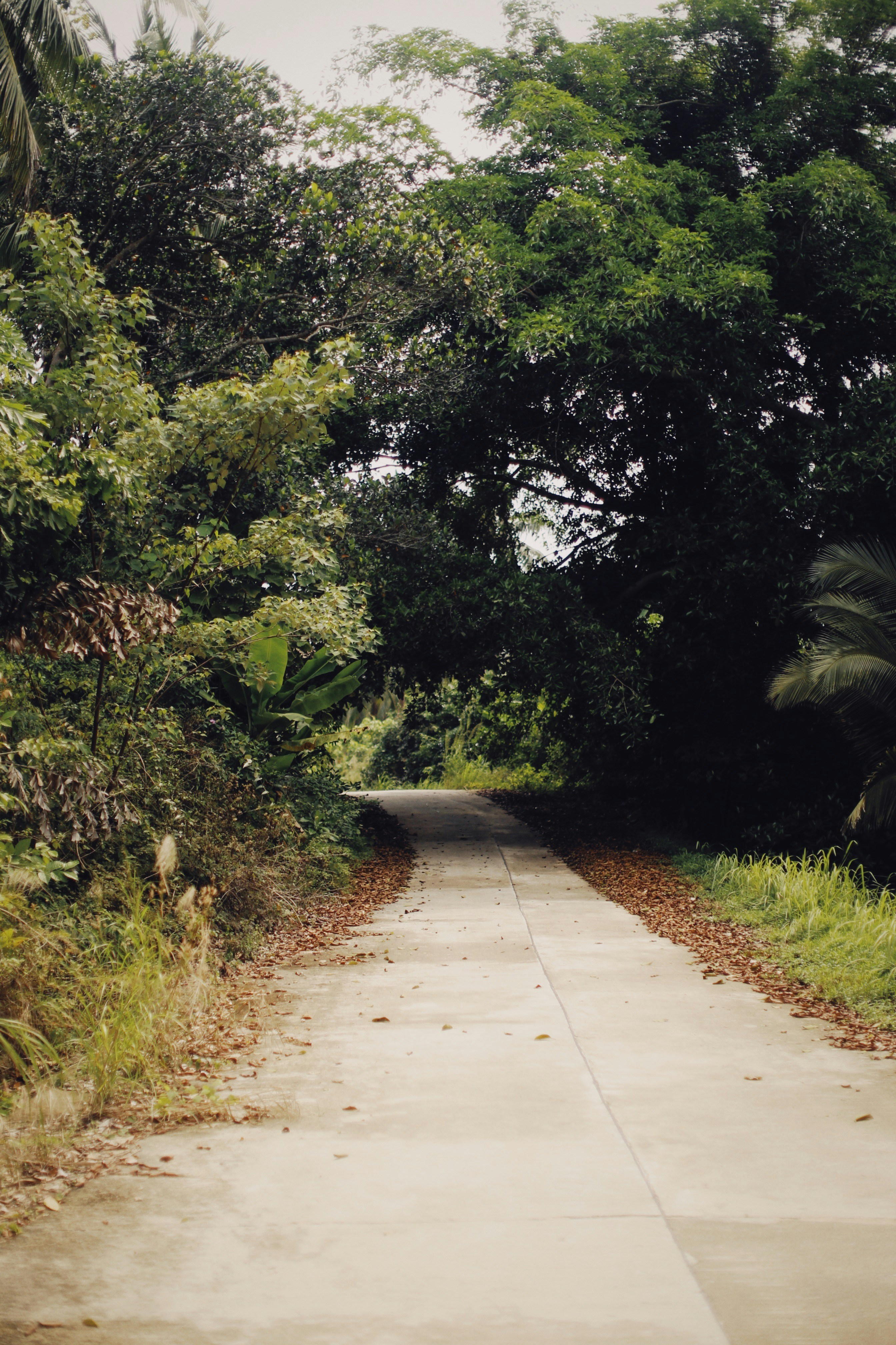 Photo by alexeydemidov