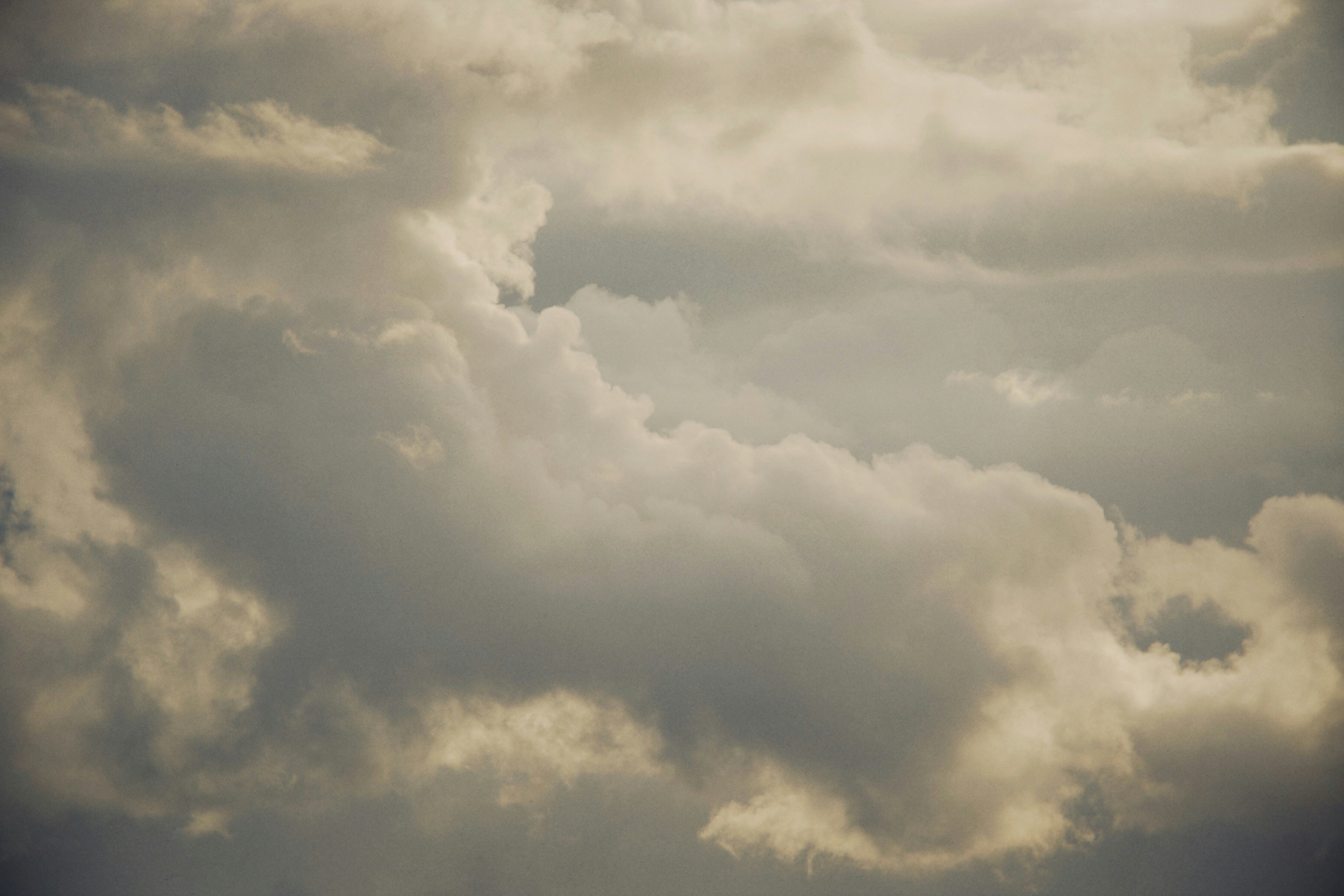 Photo by alexeydemidov