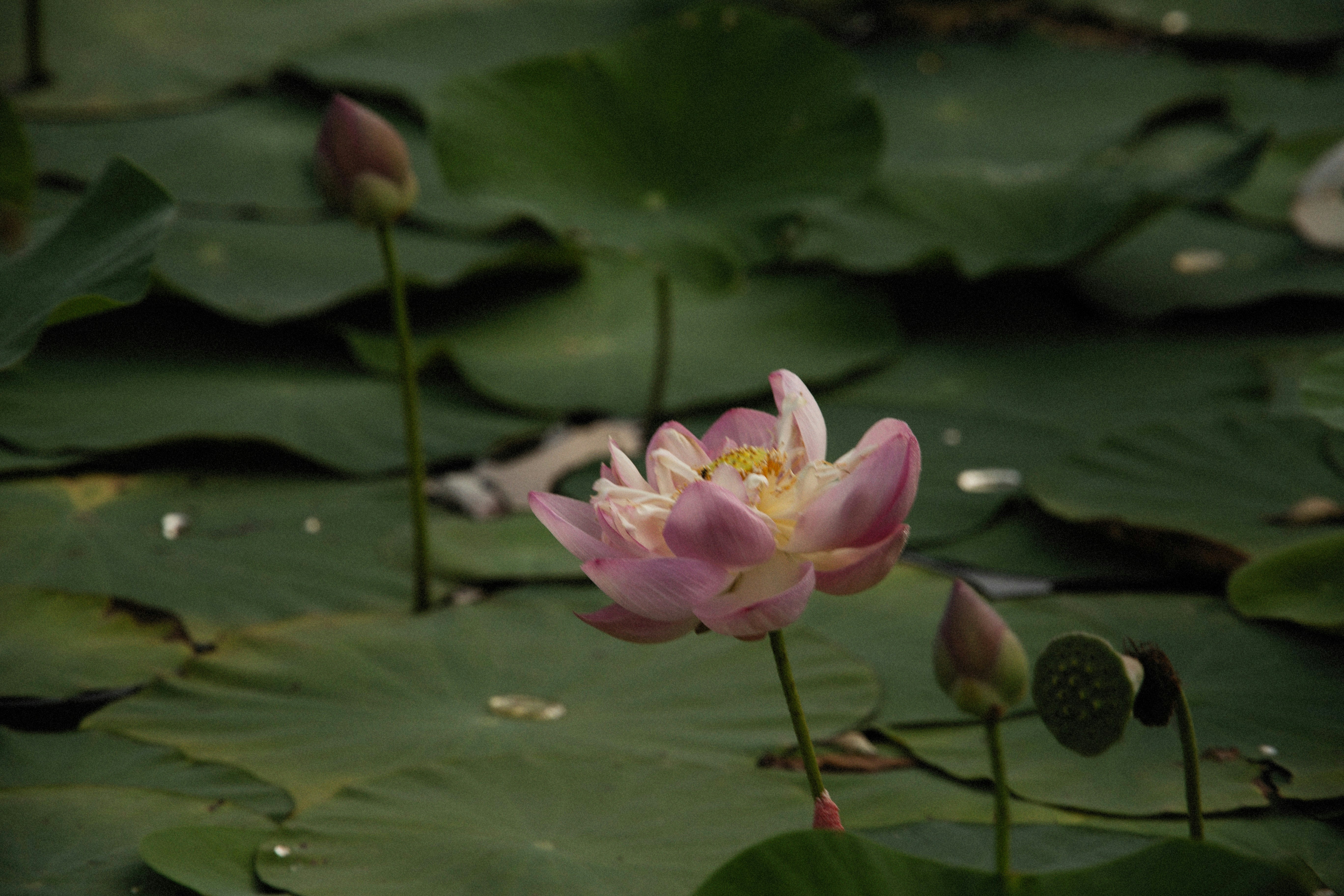 Photo by alexeydemidov