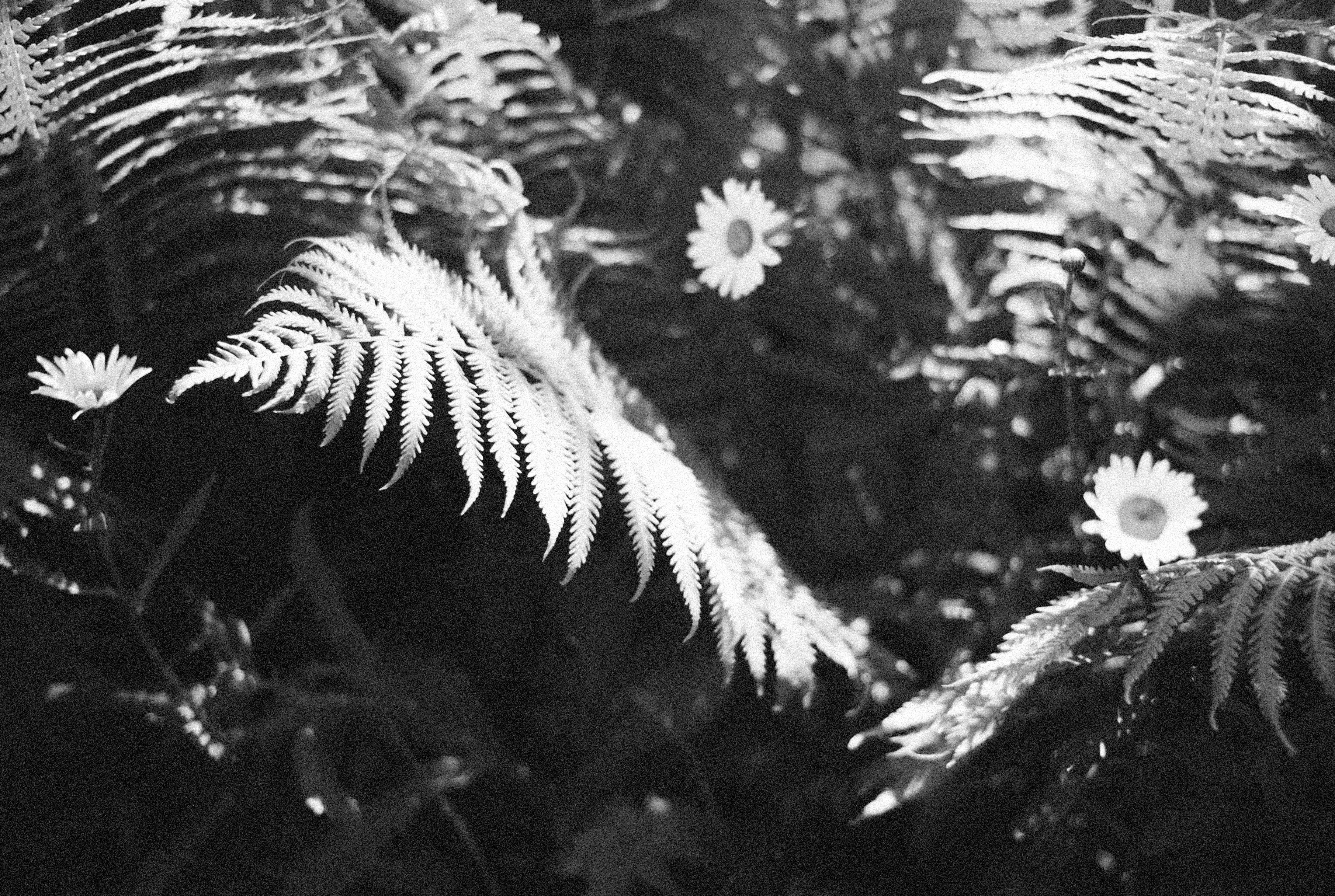 Photo by alexeydemidov