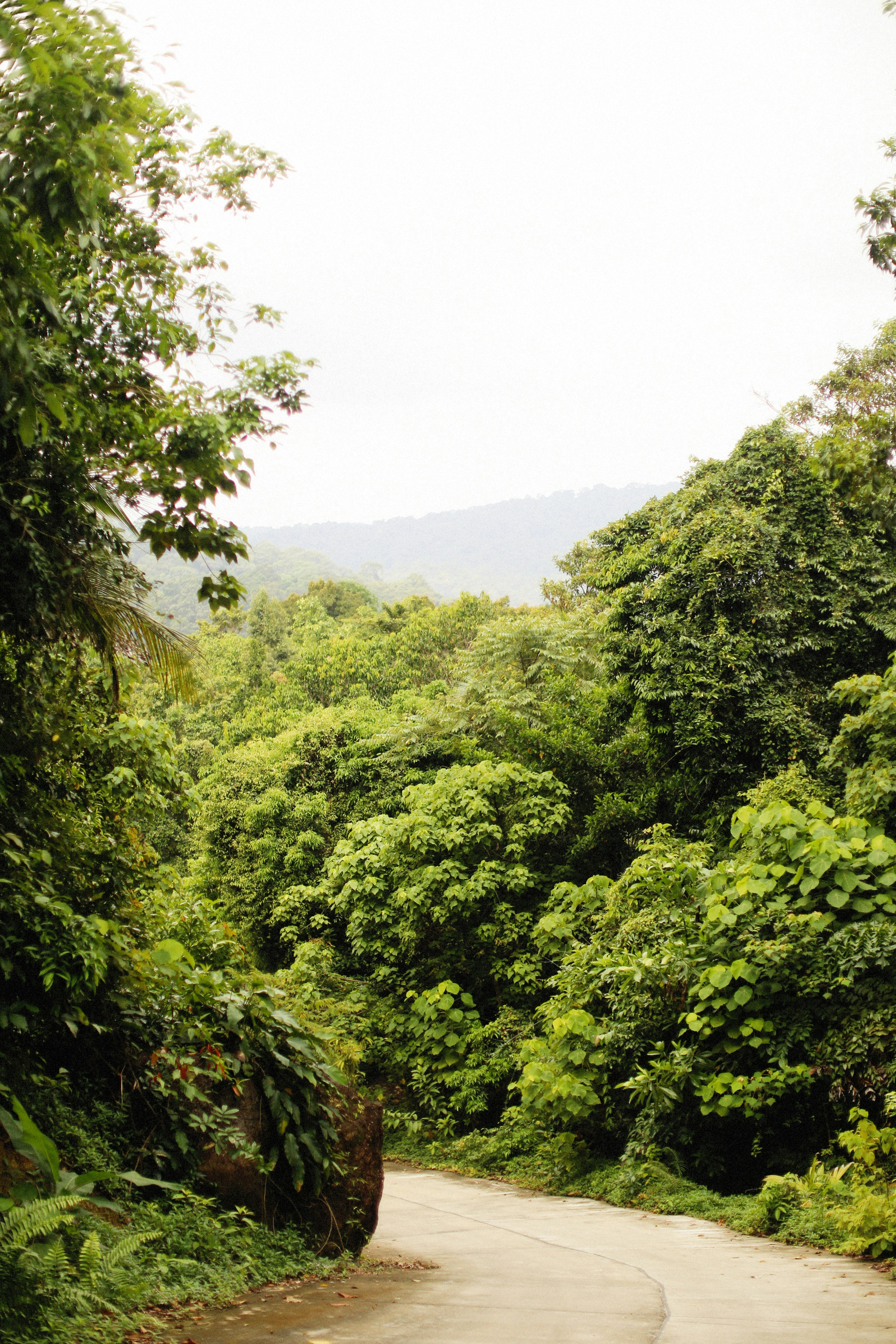 Photo by alexeydemidov