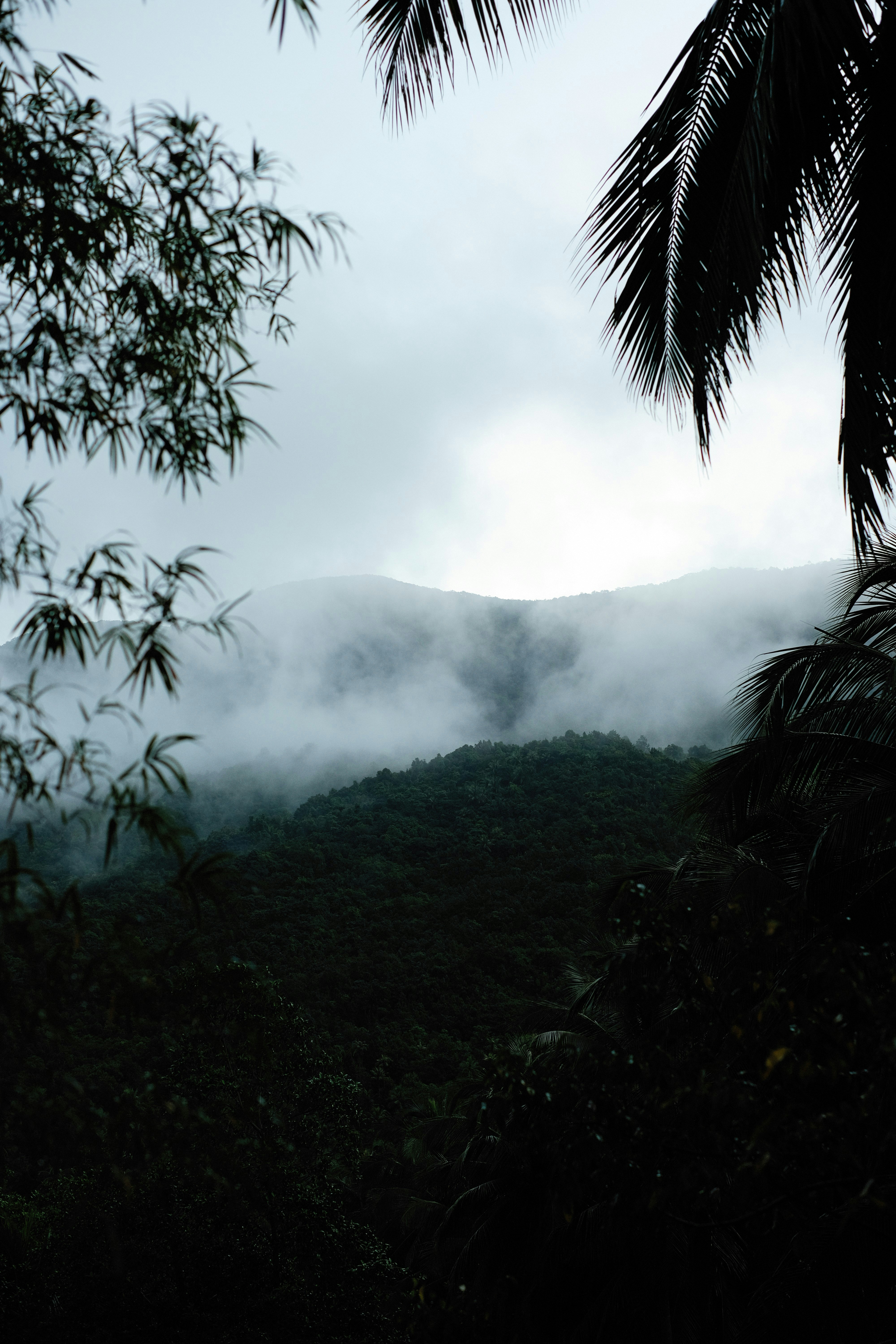 Photo by alexeydemidov