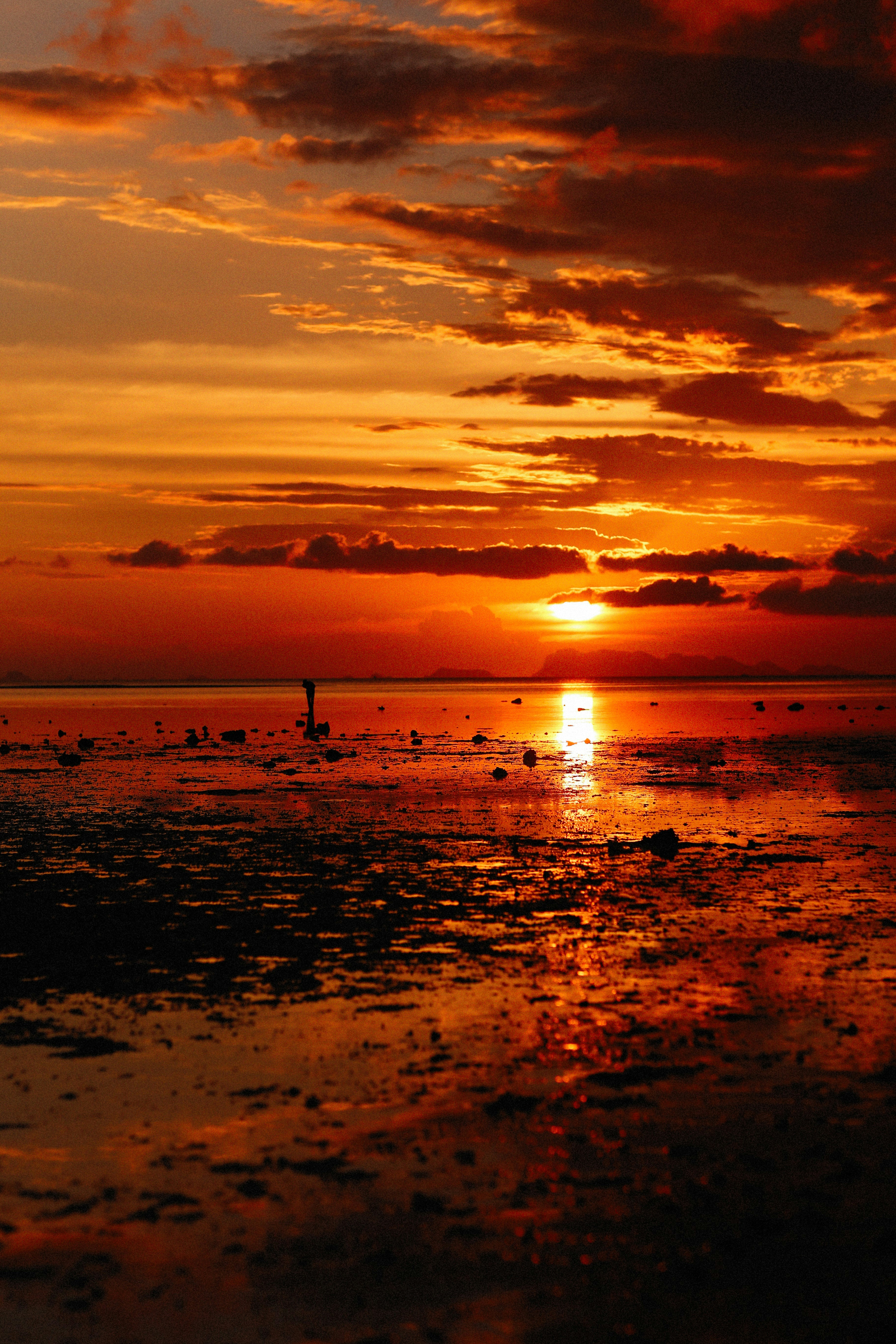 Photo by alexeydemidov