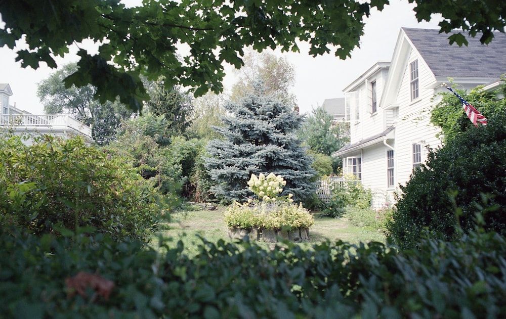 a view of a house through some bushes