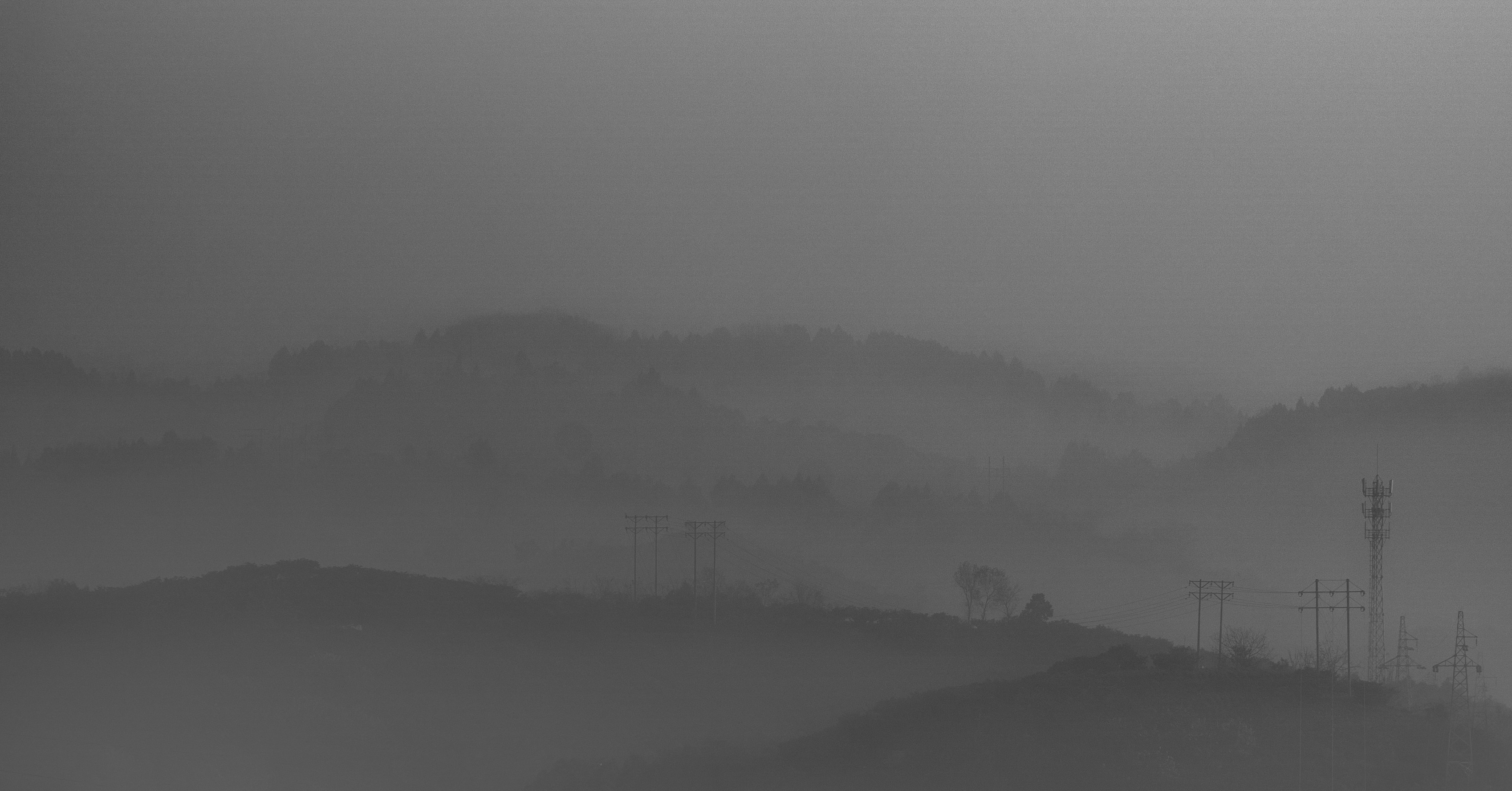 a black and white photo of a foggy hillside