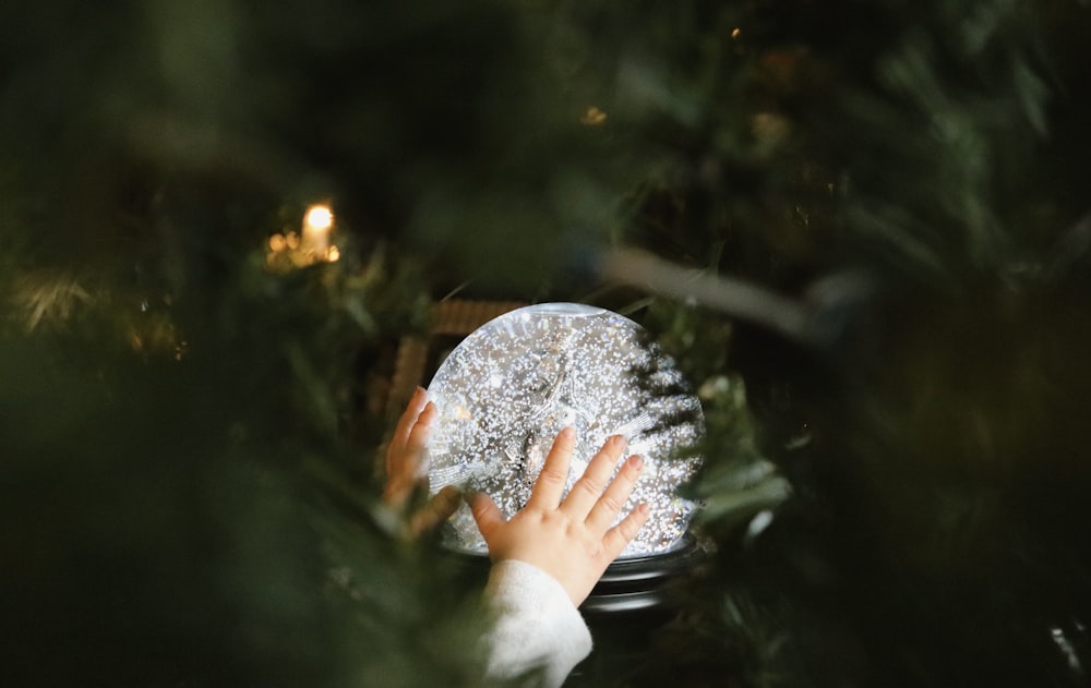 a person's hand on a plate in a christmas tree