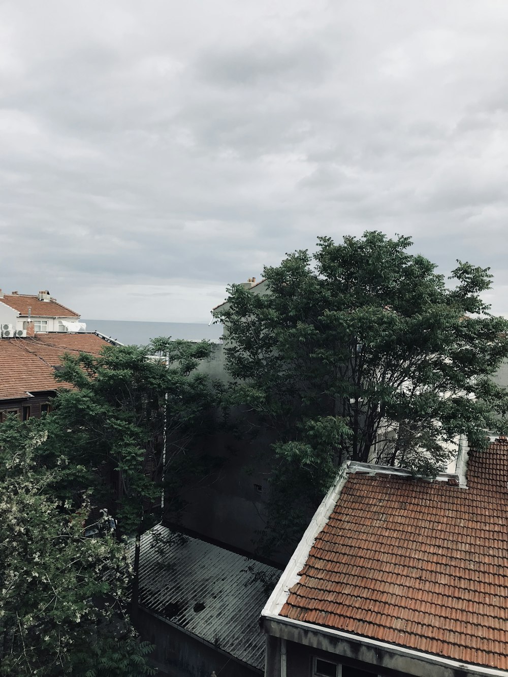 a view of a red tiled roof and some trees