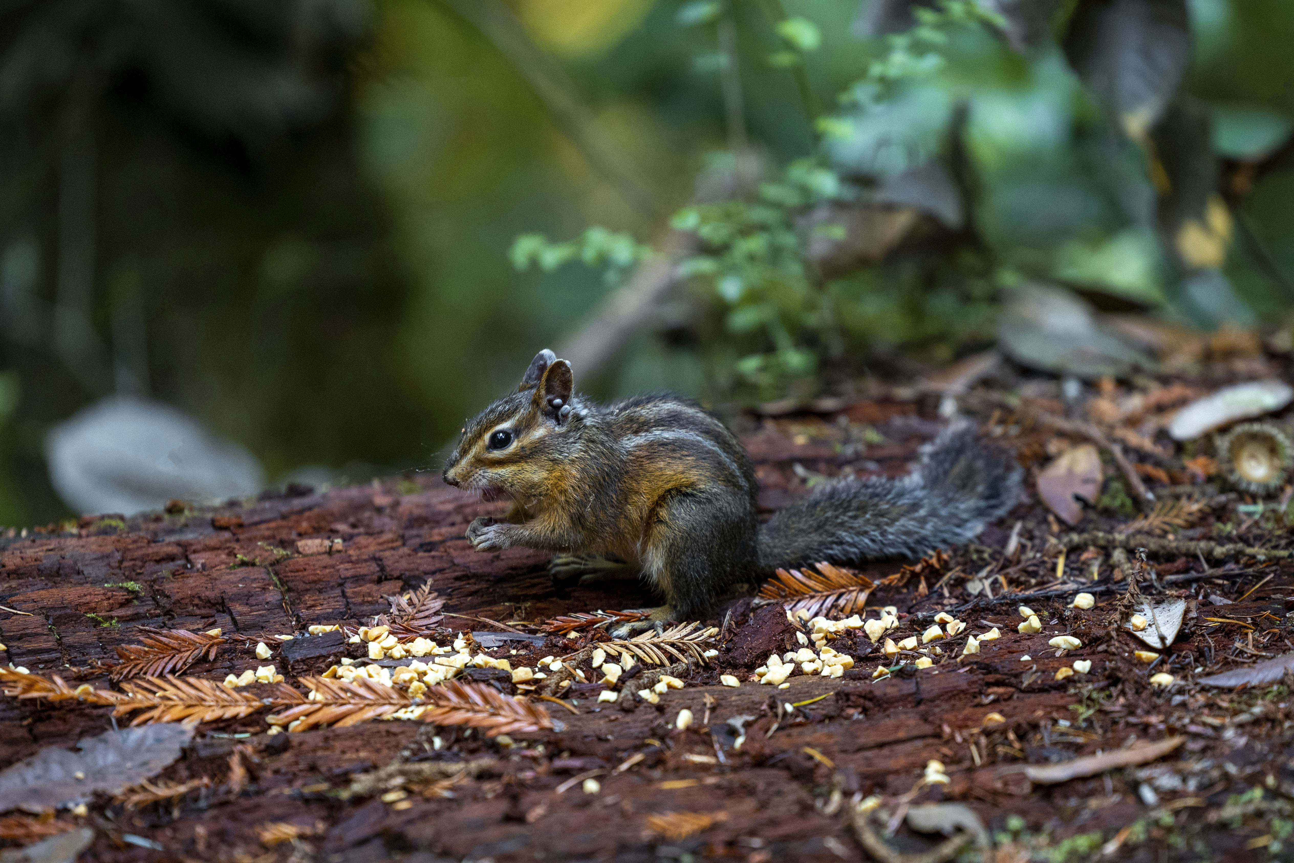 Photo by leo_visions_