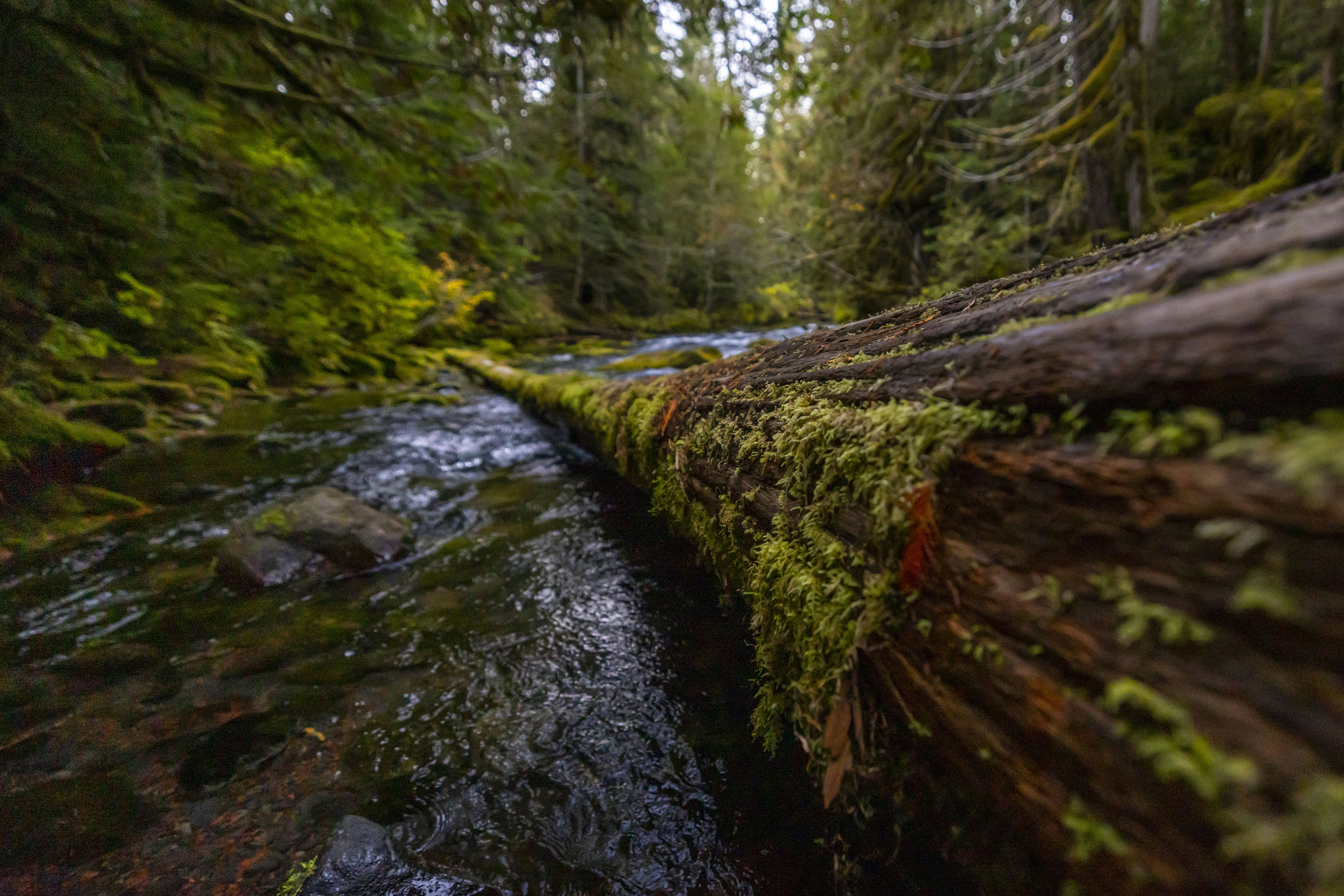 Photo by leo_visions_