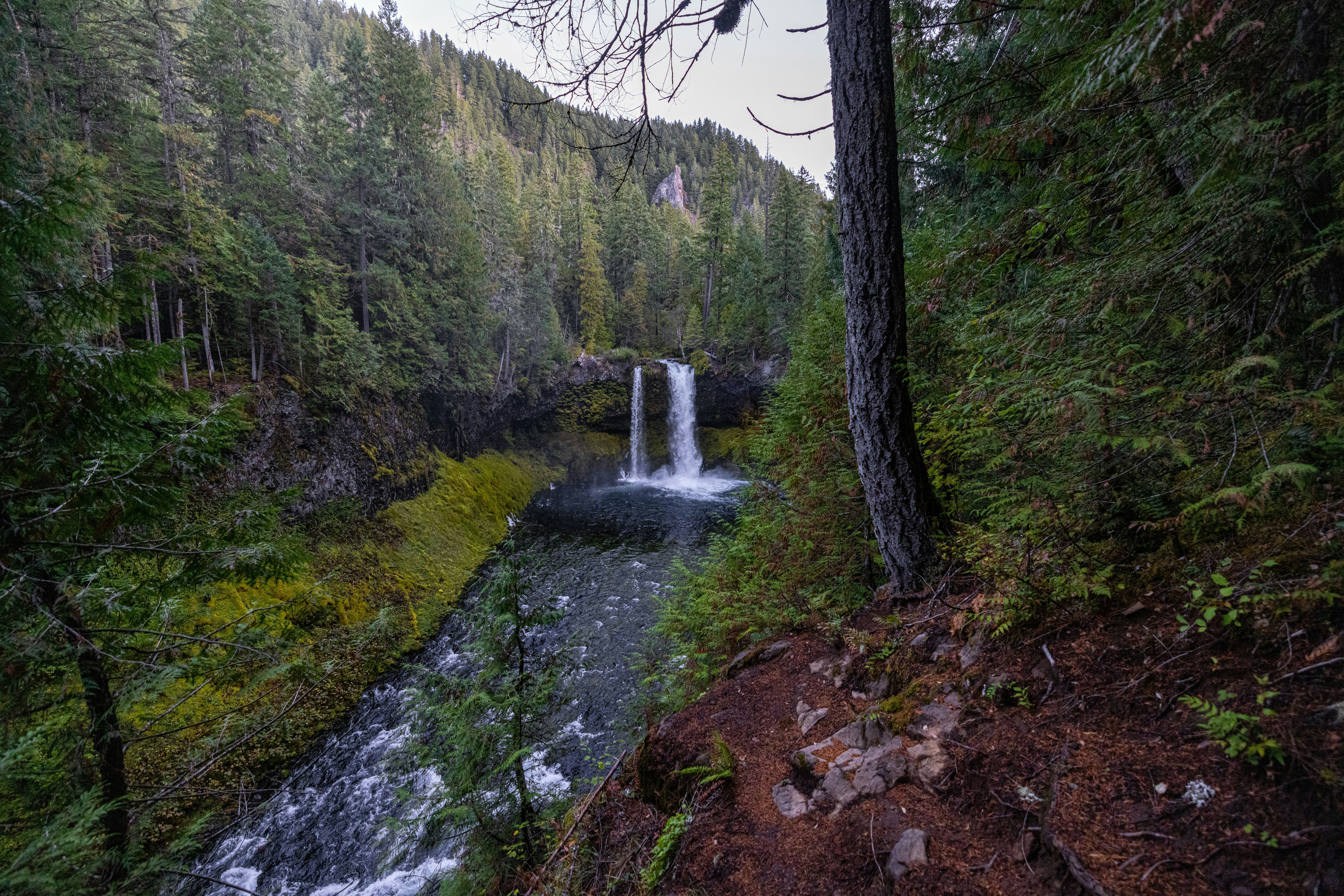 Photo by leo_visions_