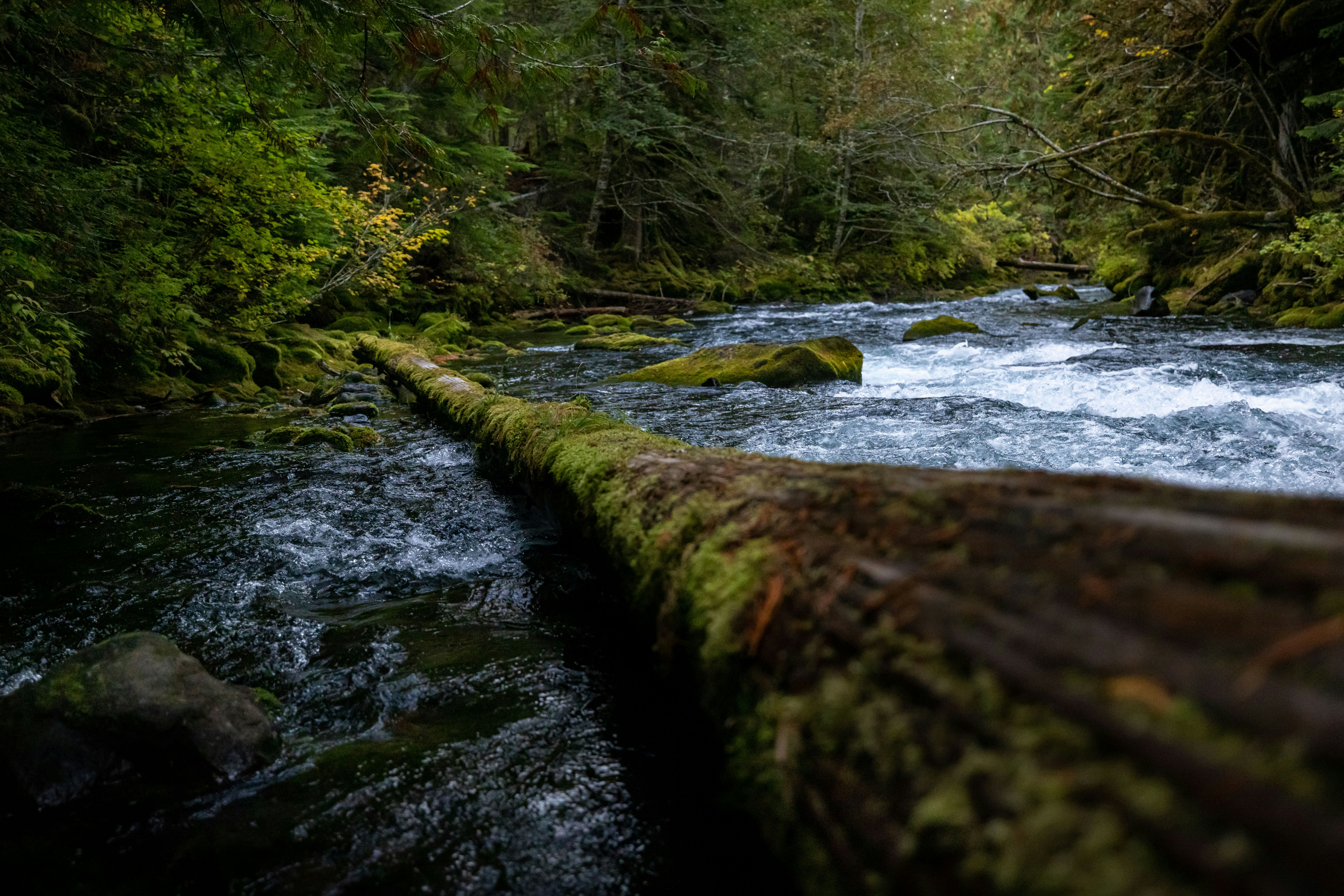 Photo by leo_visions_