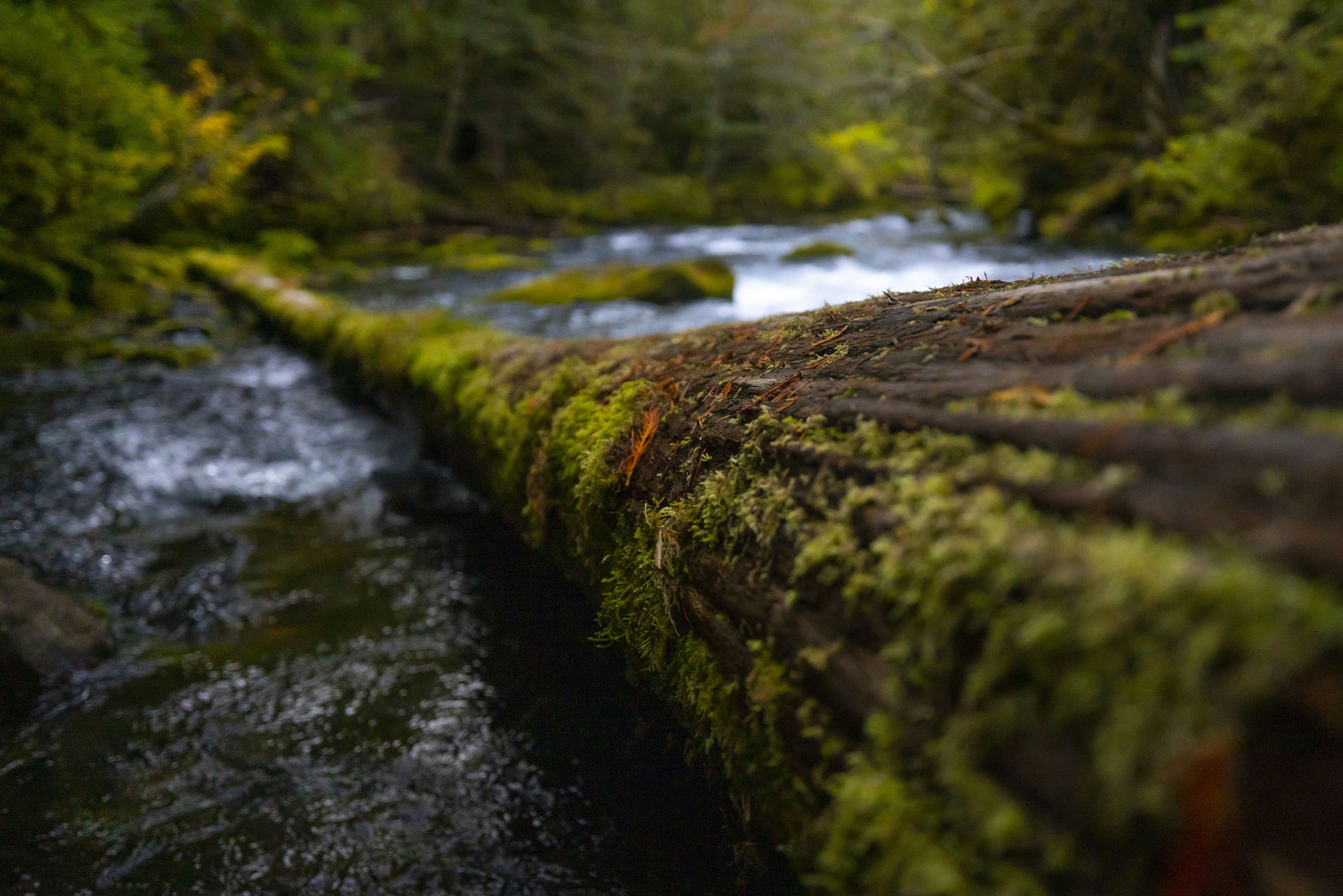 Photo by leo_visions_