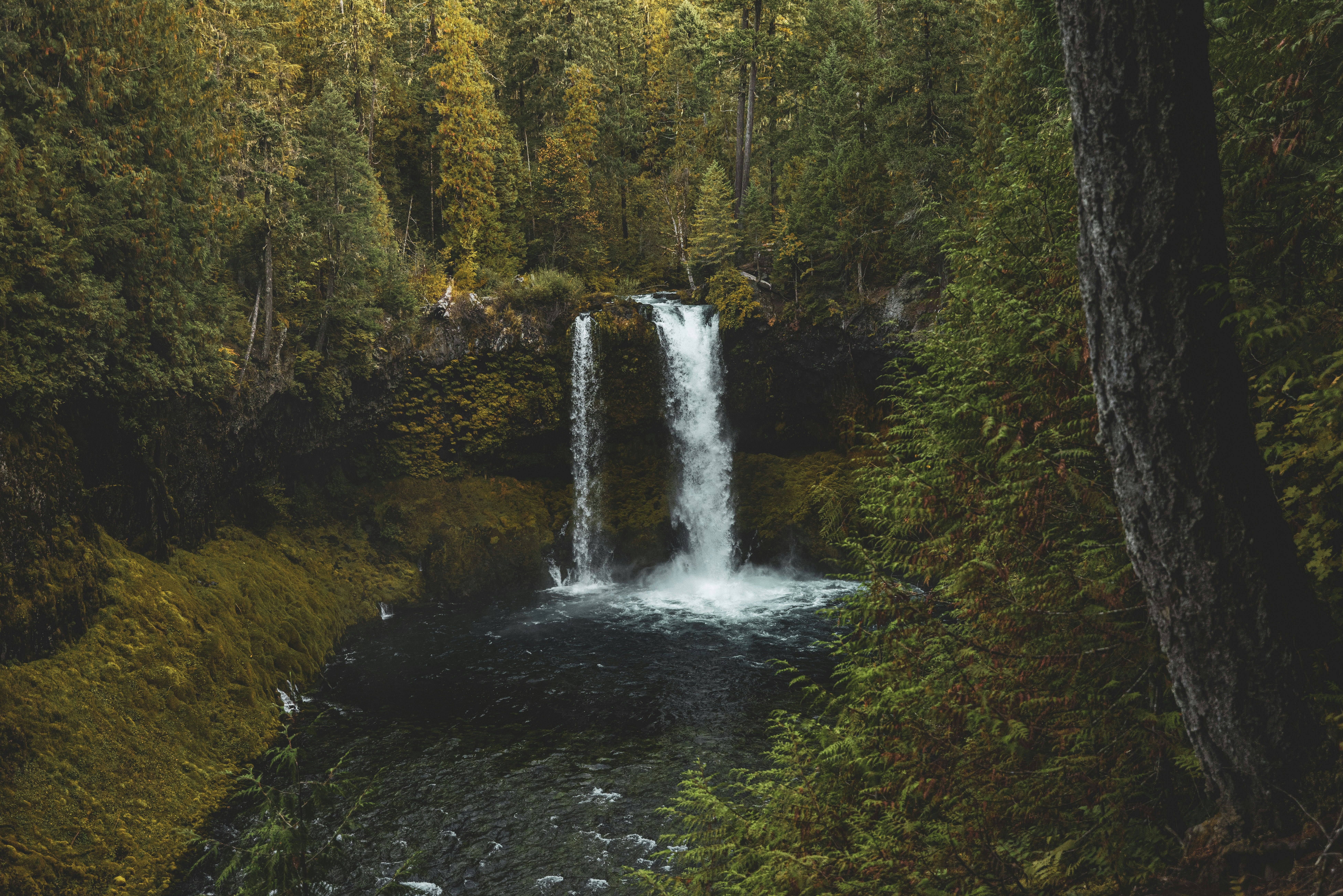 Photo by leo_visions_