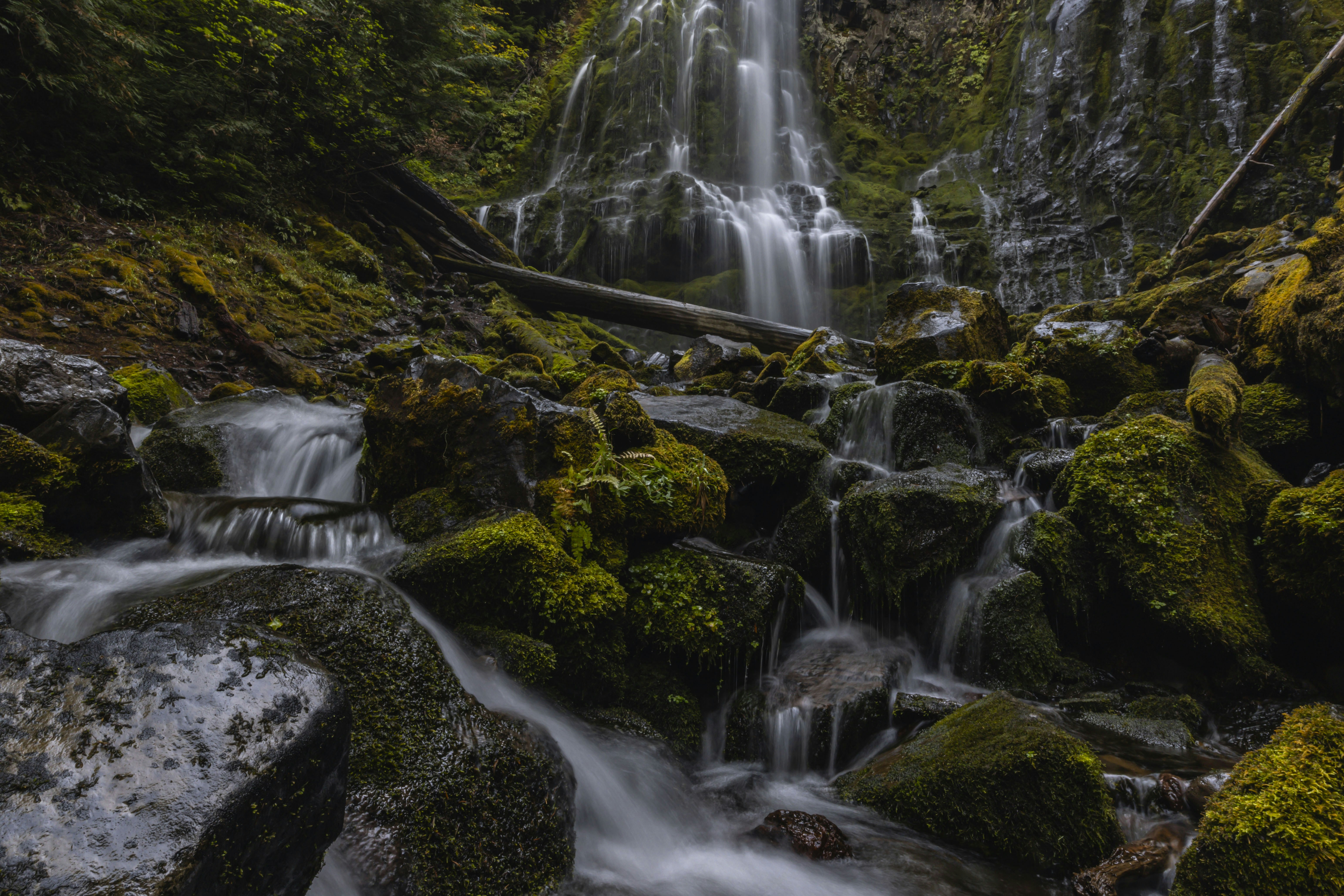 Photo by leo_visions_