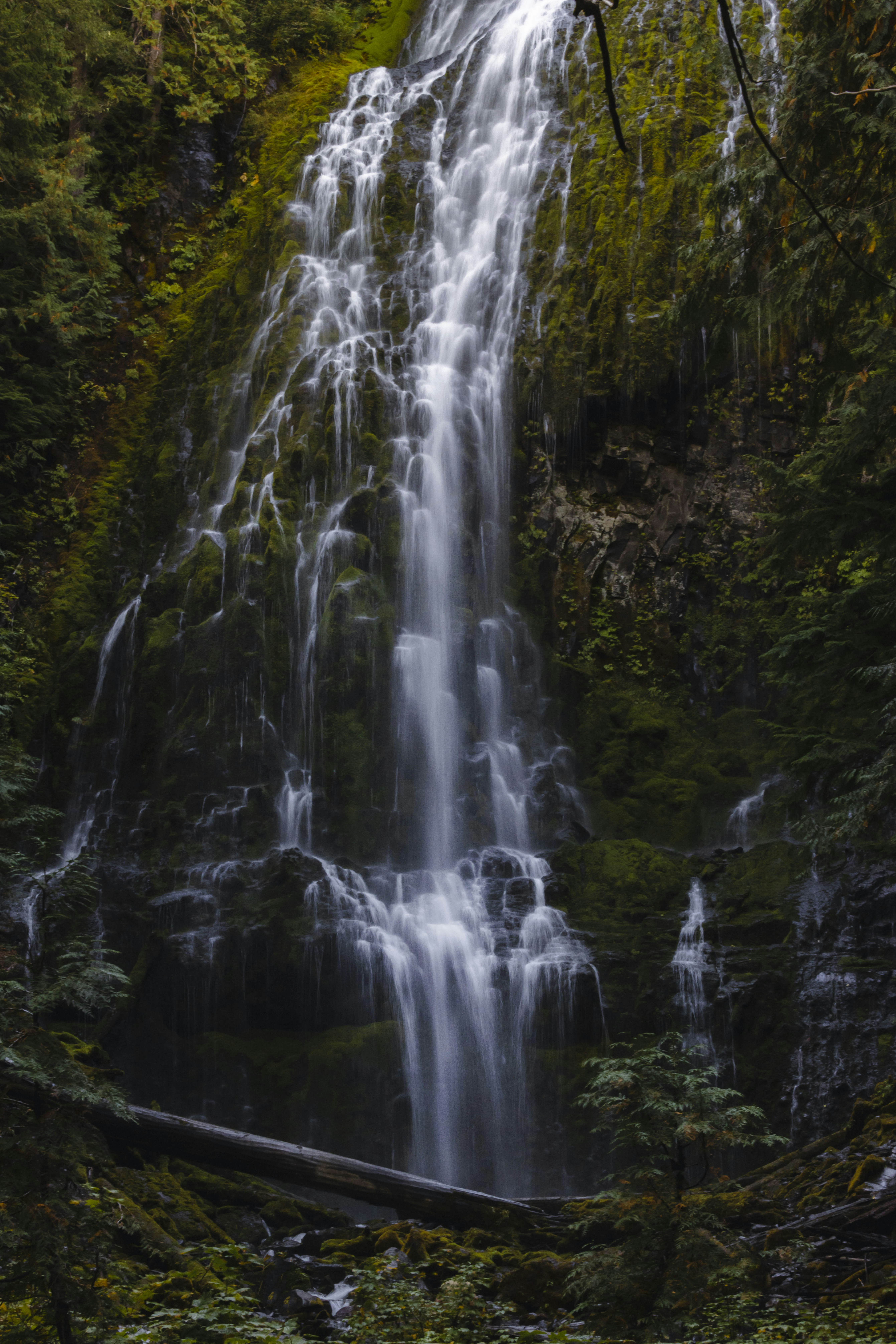 Photo by leo_visions_