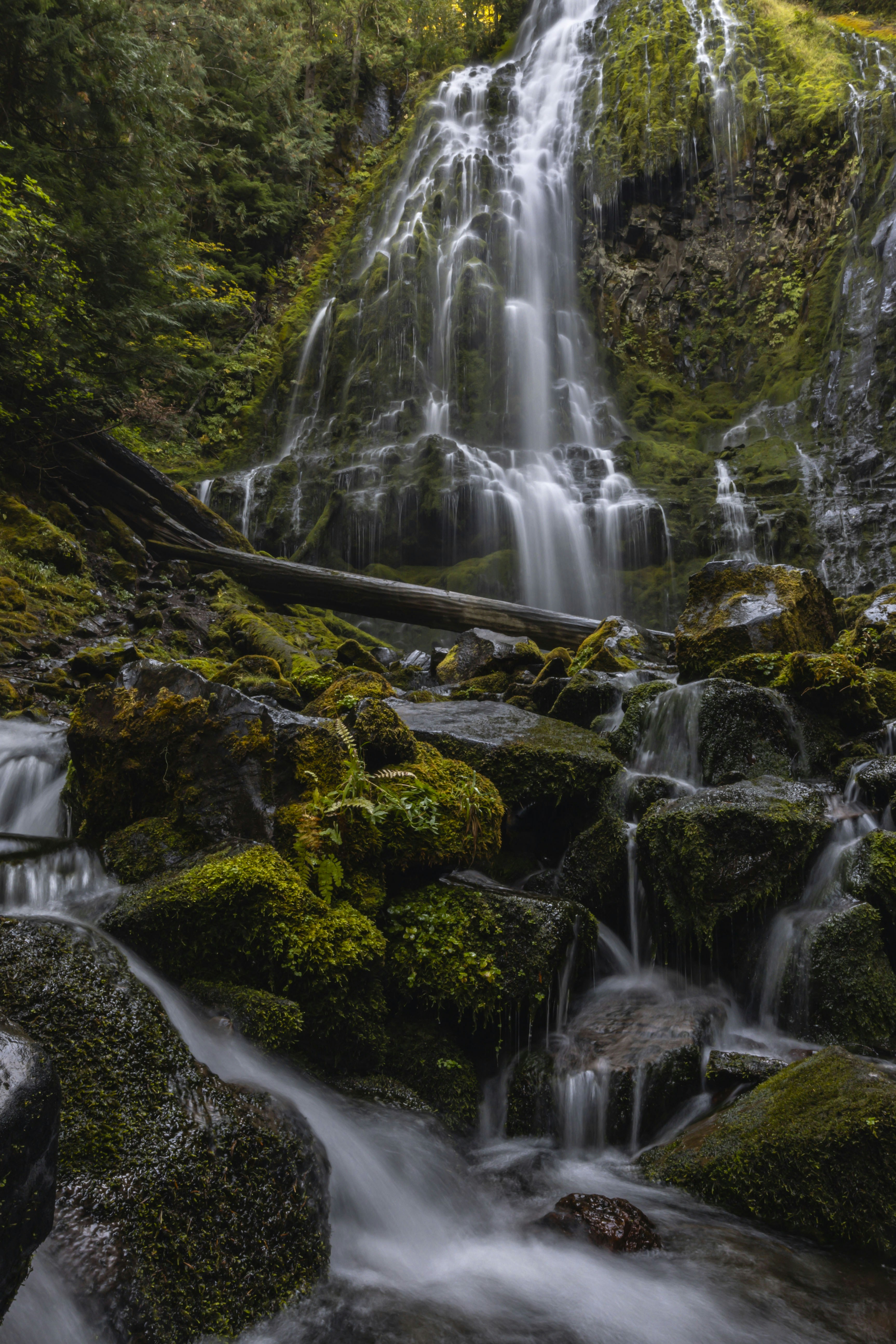 Photo by leo_visions_