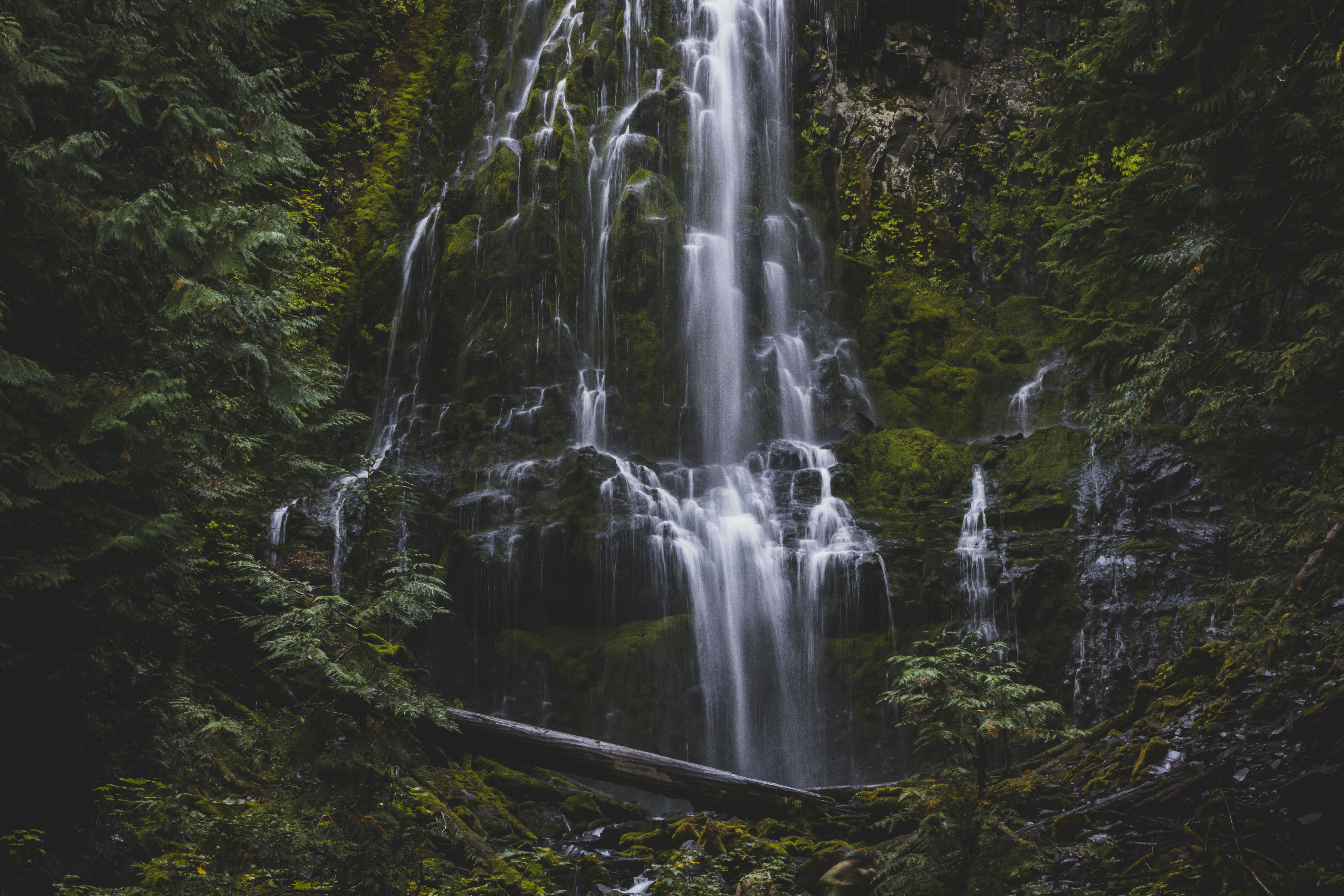 Photo by leo_visions_