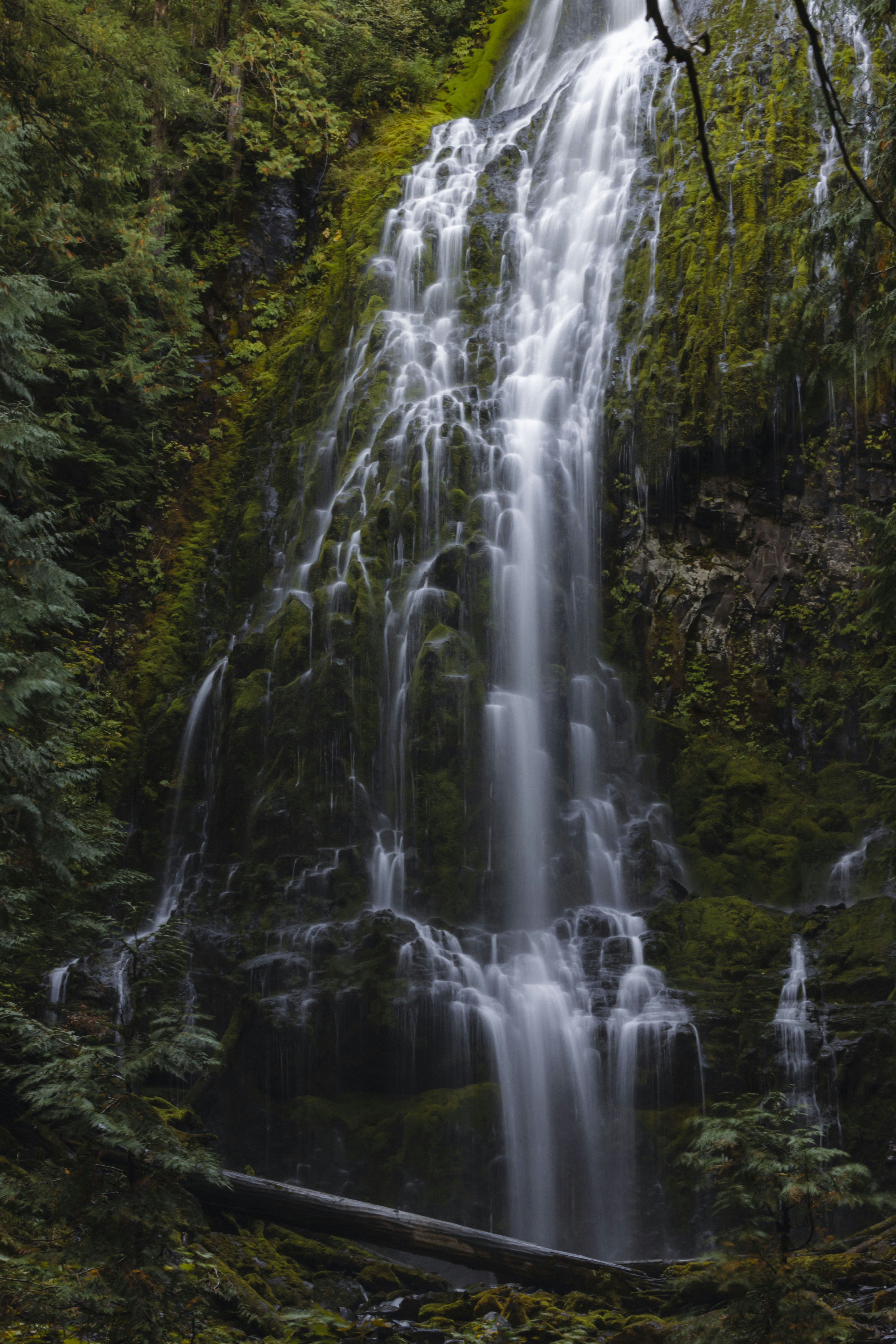 Photo by leo_visions_