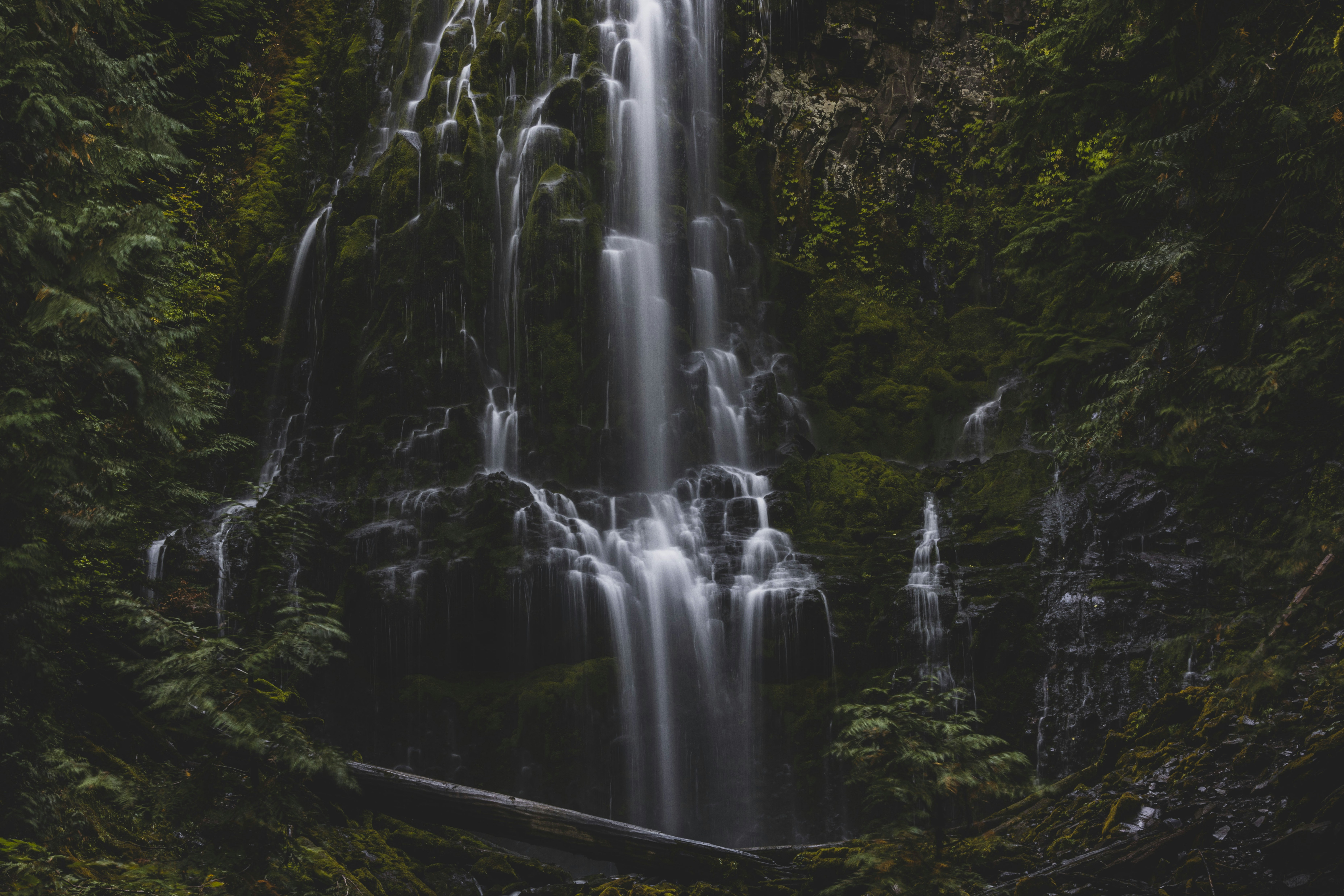 Photo by leo_visions_